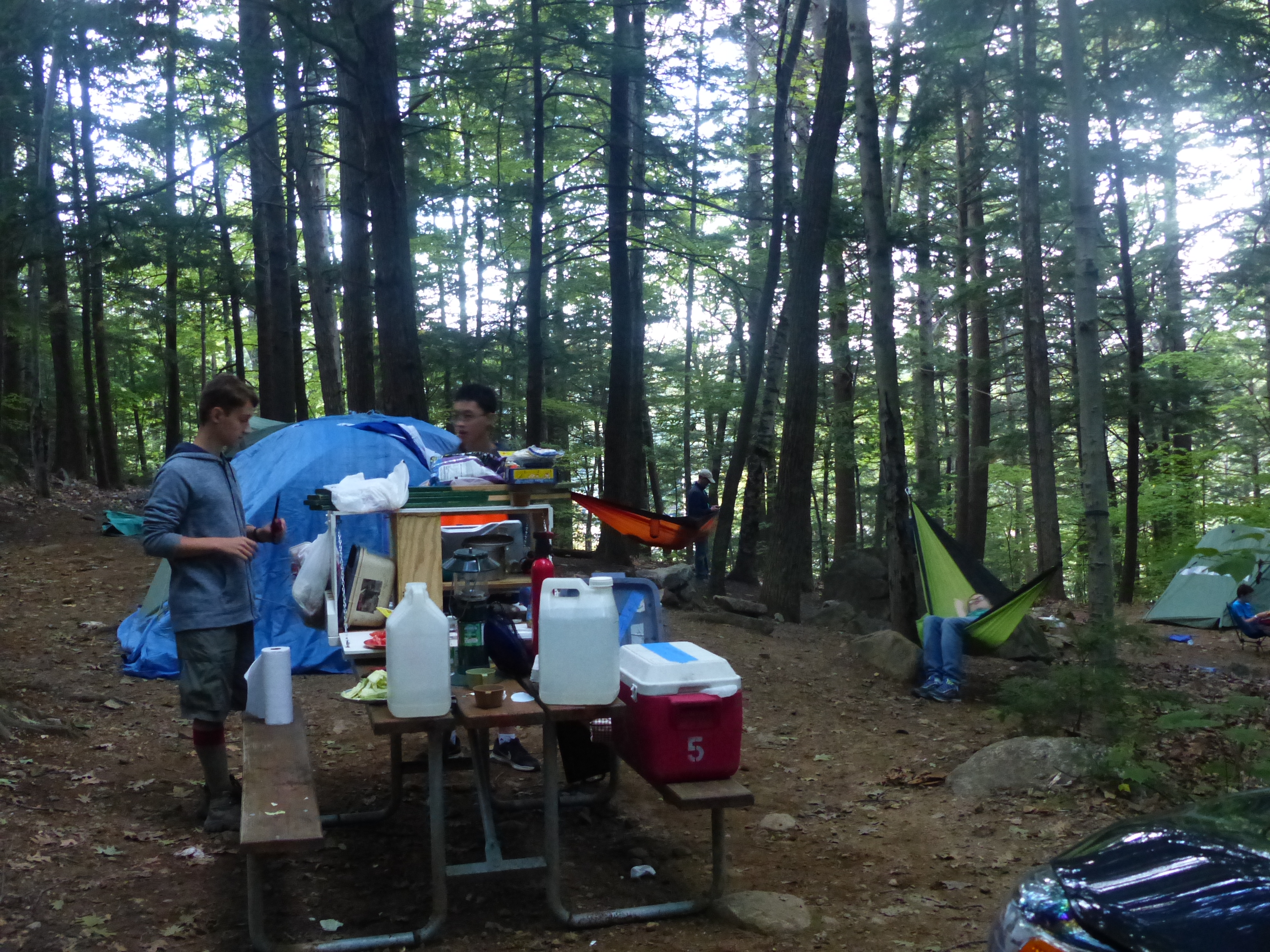 P1070847 (09-09-2017 23:02)