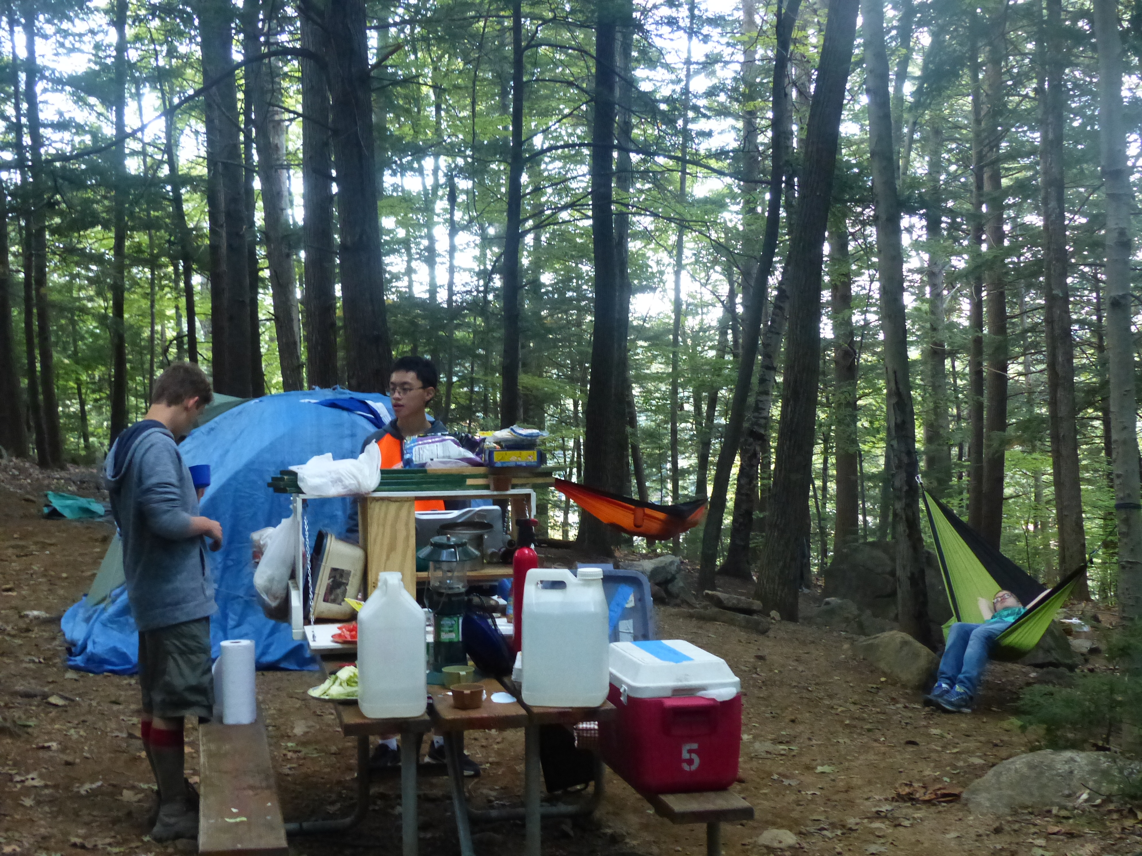 P1070848 (09-09-2017 23:02)