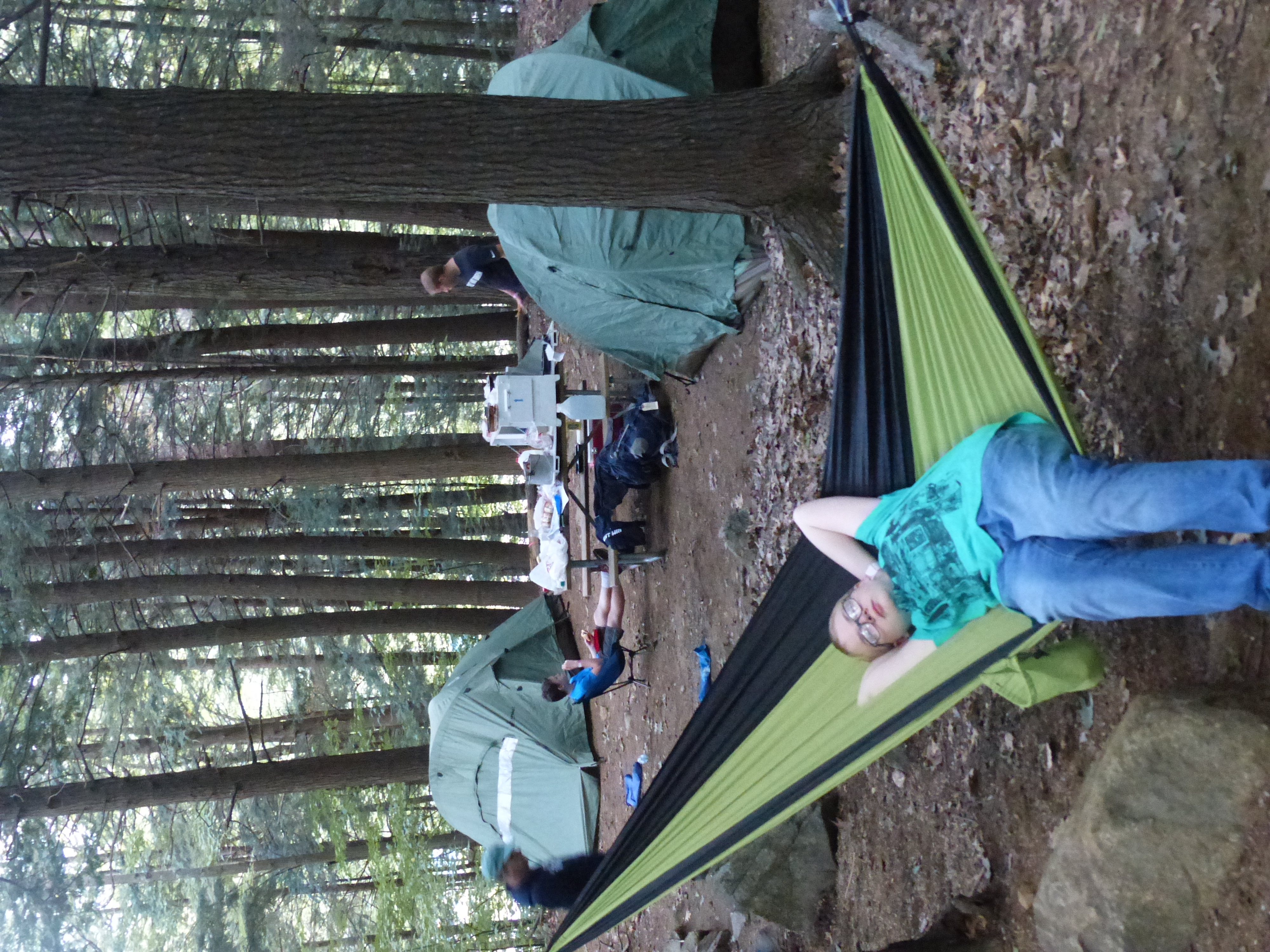 P1070850 (09-09-2017 23:02)