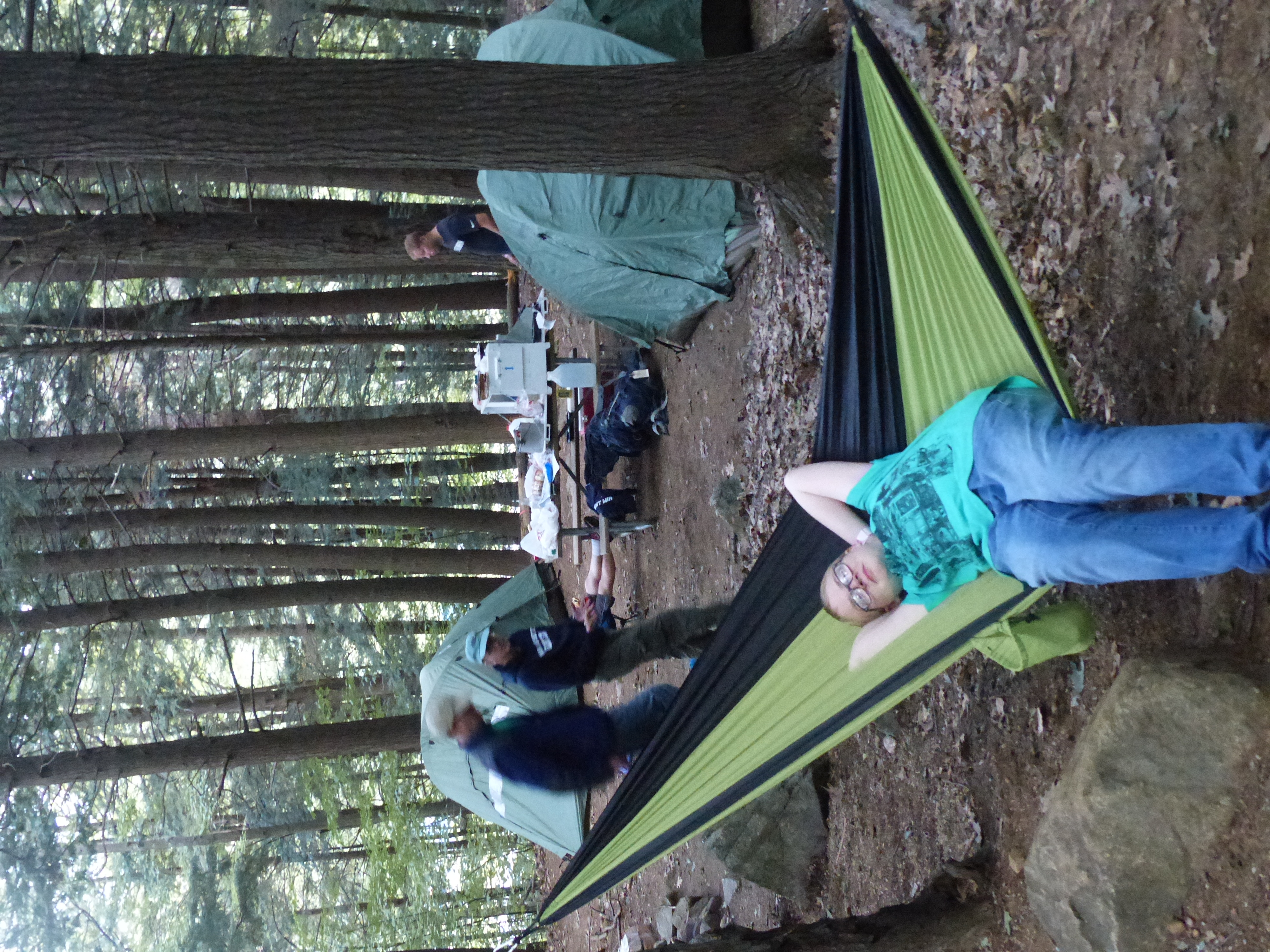 P1070851 (09-09-2017 23:02)