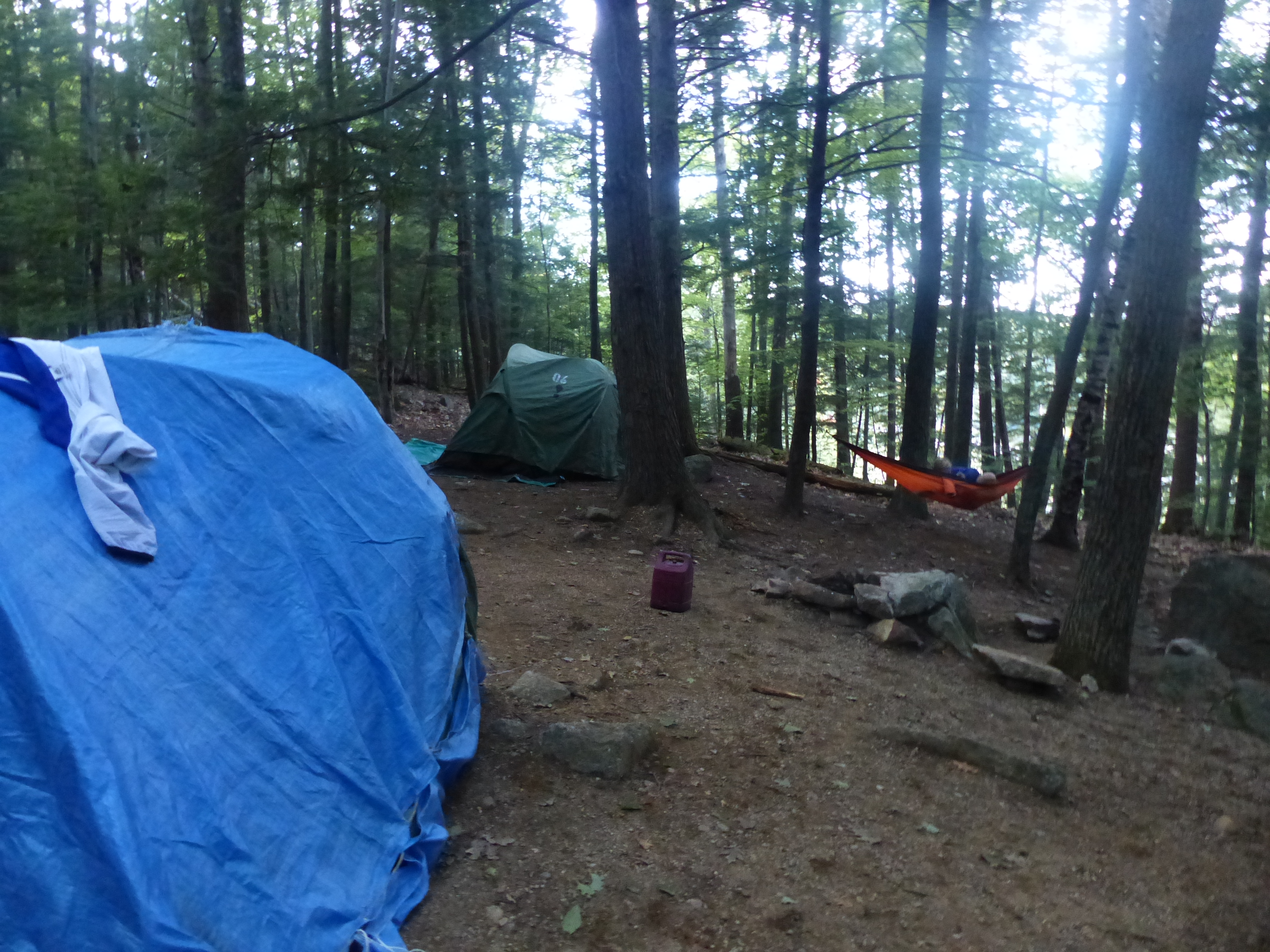 P1070853 (09-09-2017 23:03)