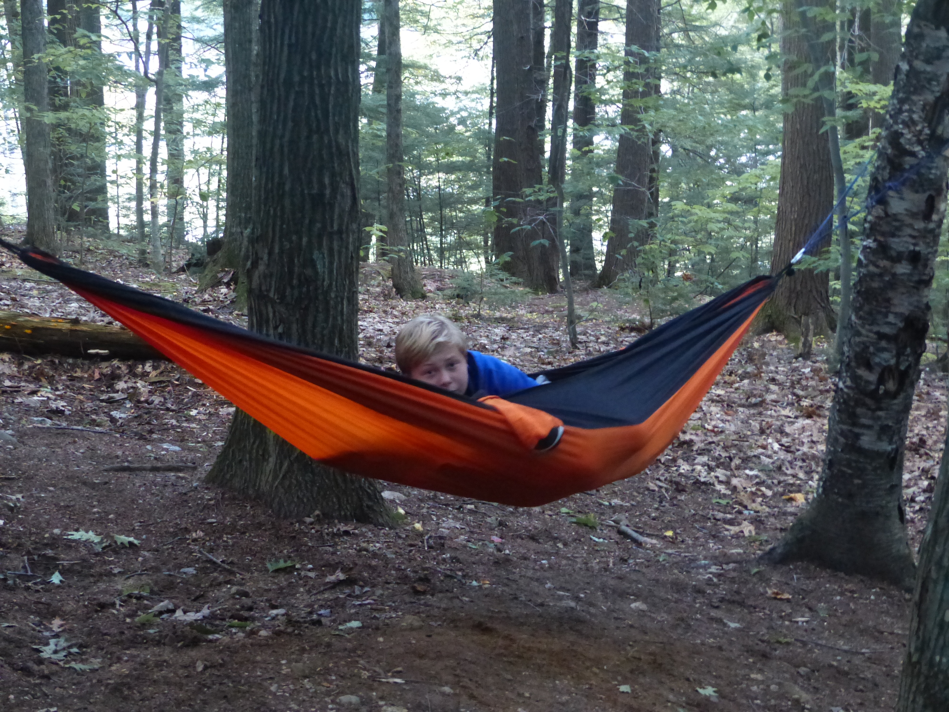 P1070854 (09-09-2017 23:03)