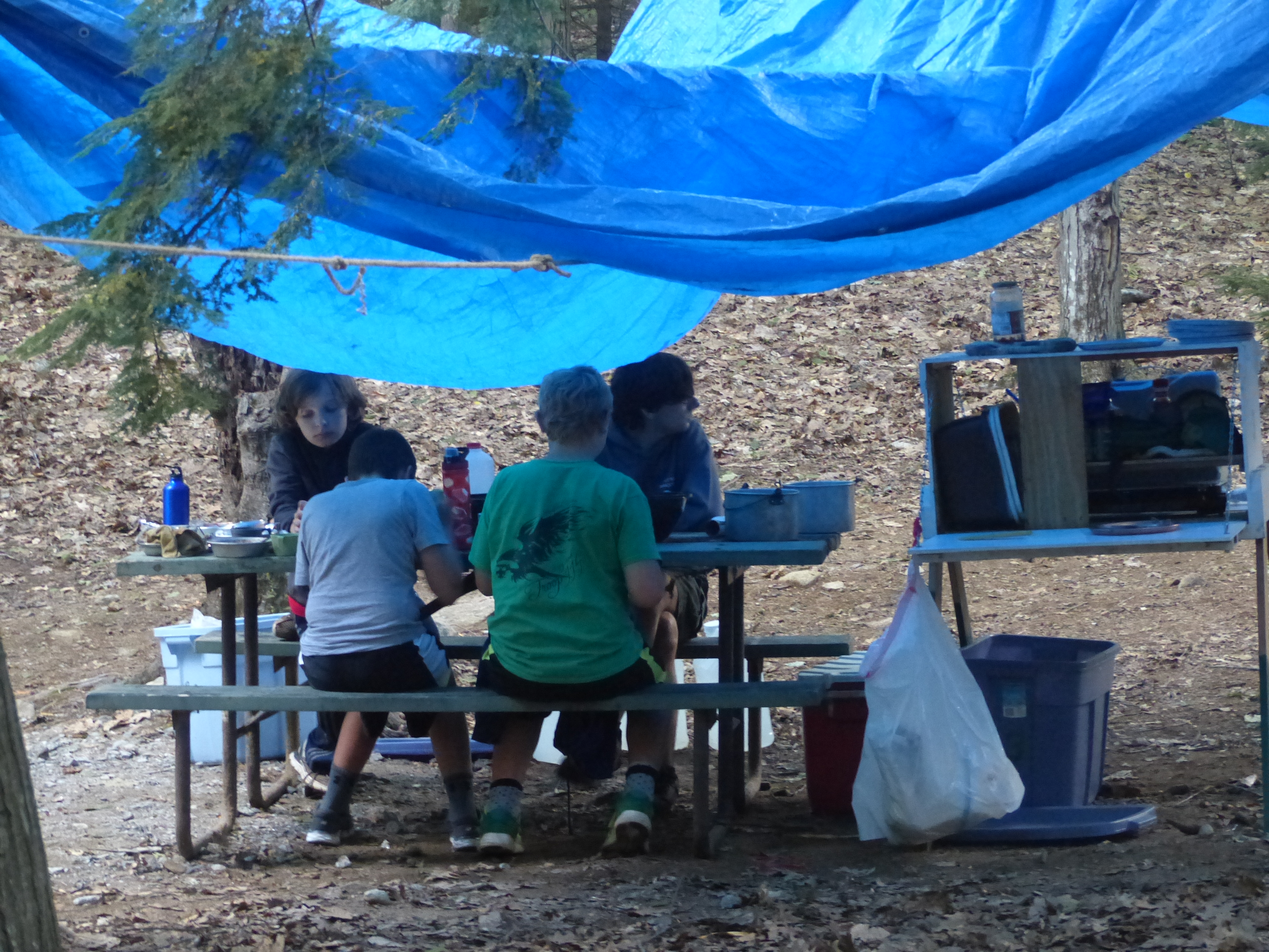 P1070860 (09-09-2017 23:07)