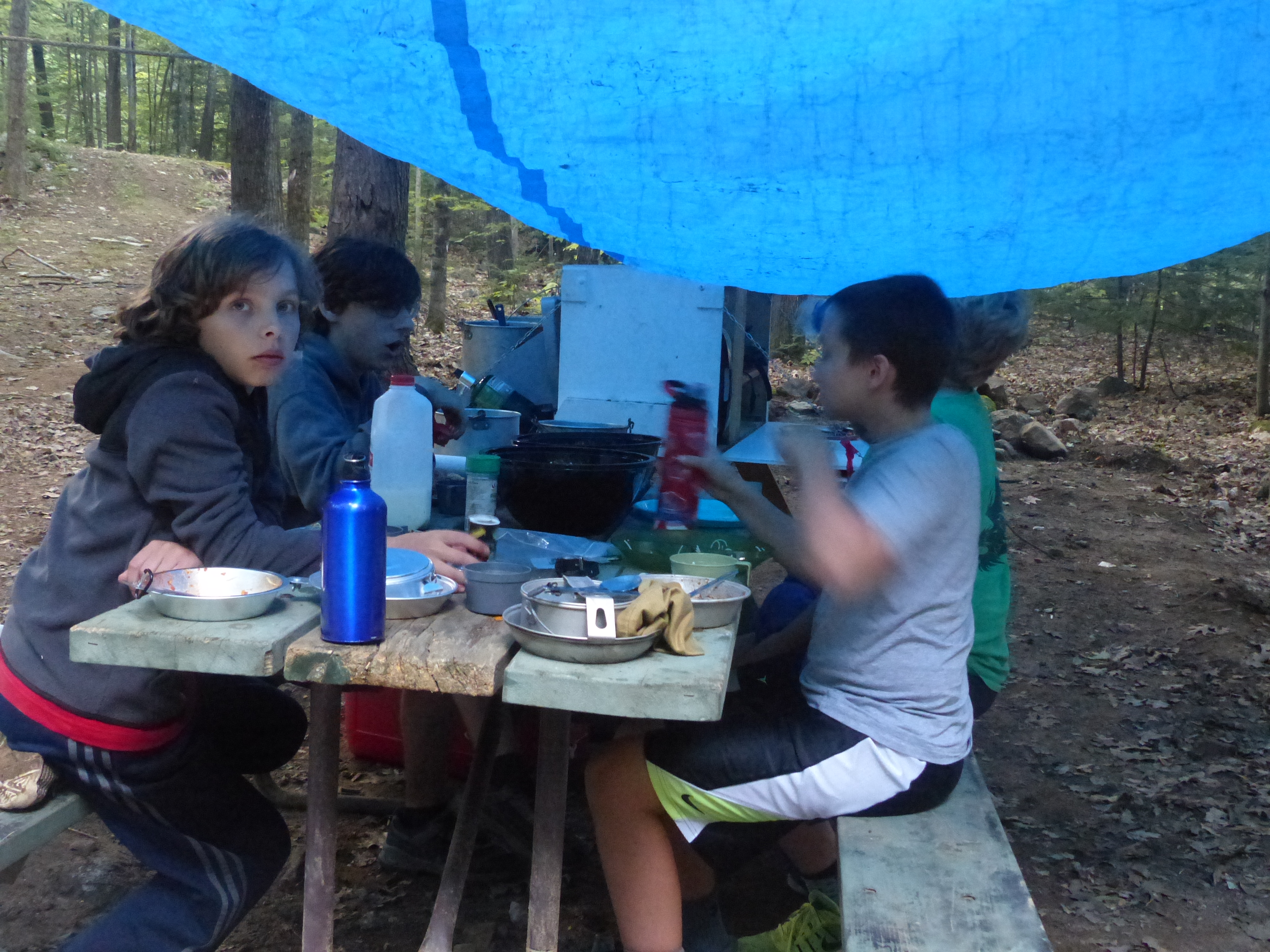 P1070862 (09-09-2017 23:07)