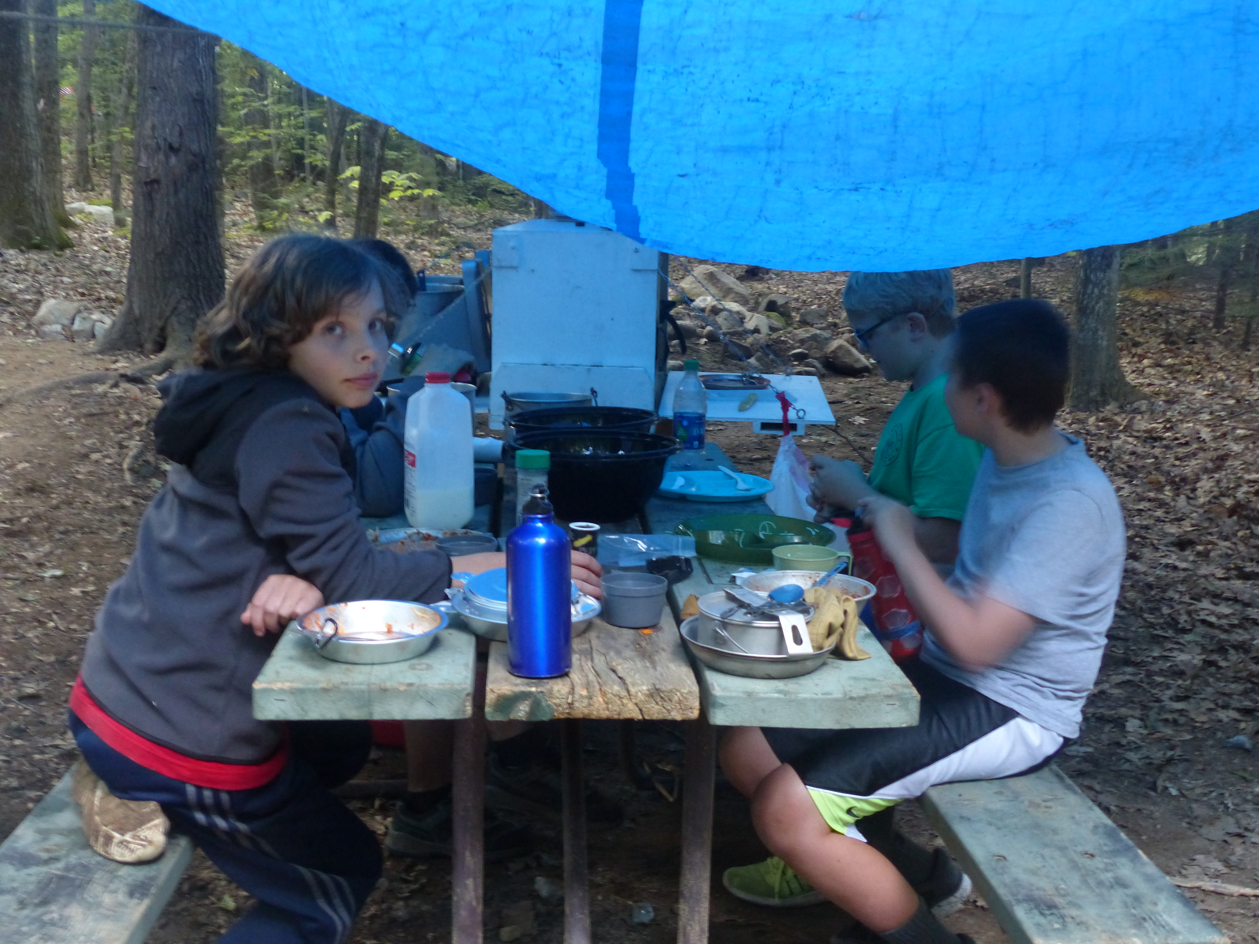 P1070863 (09-09-2017 23:08)