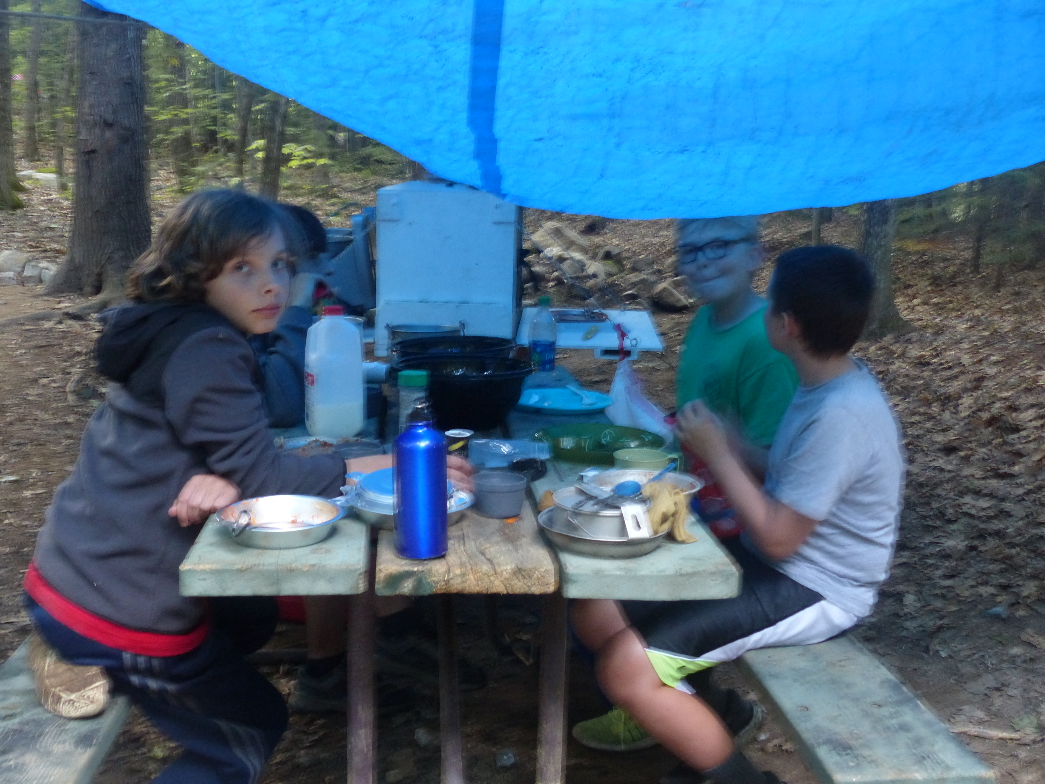 P1070864 (09-09-2017 23:08)