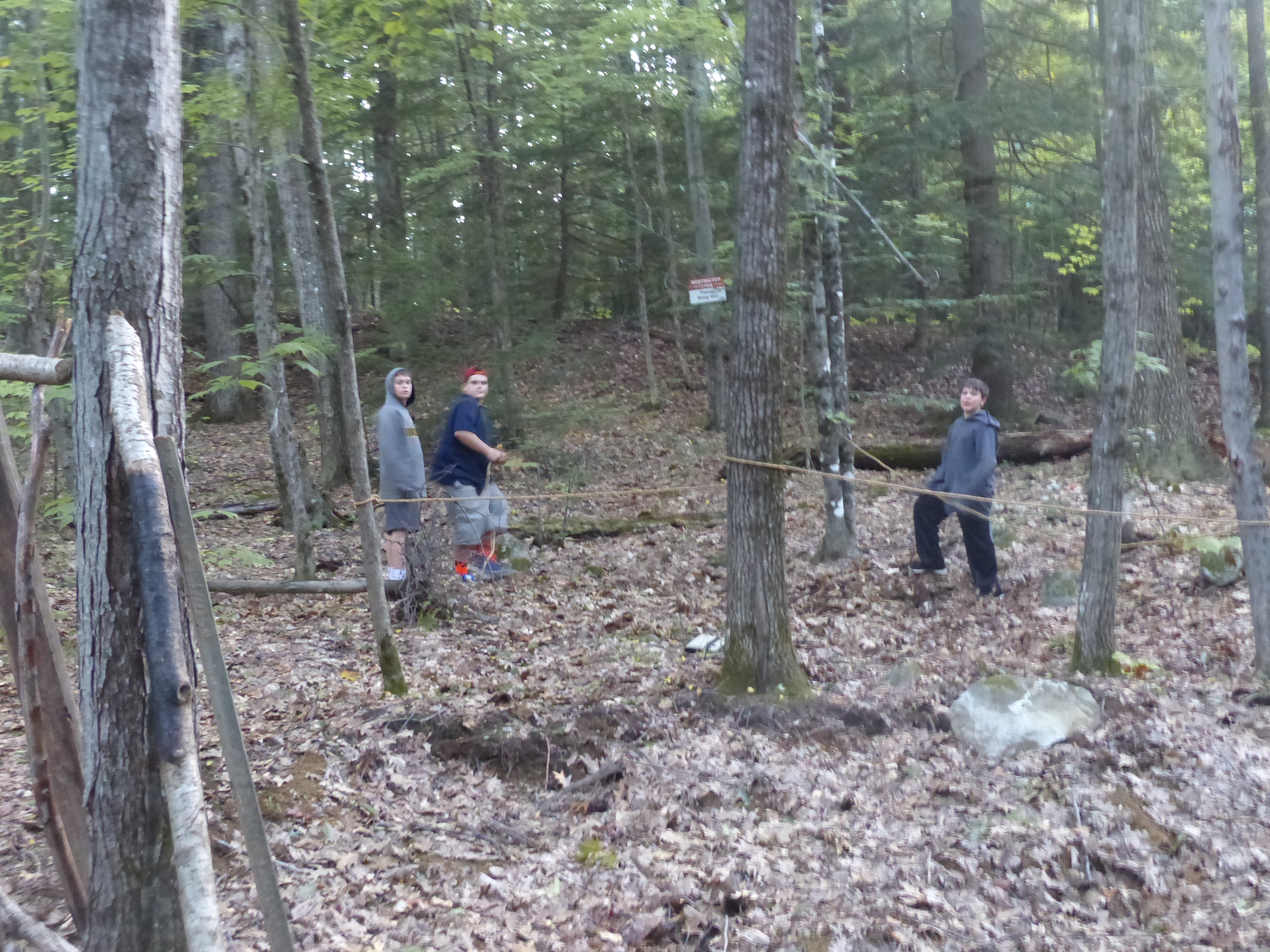 P1070867 (09-09-2017 23:08)