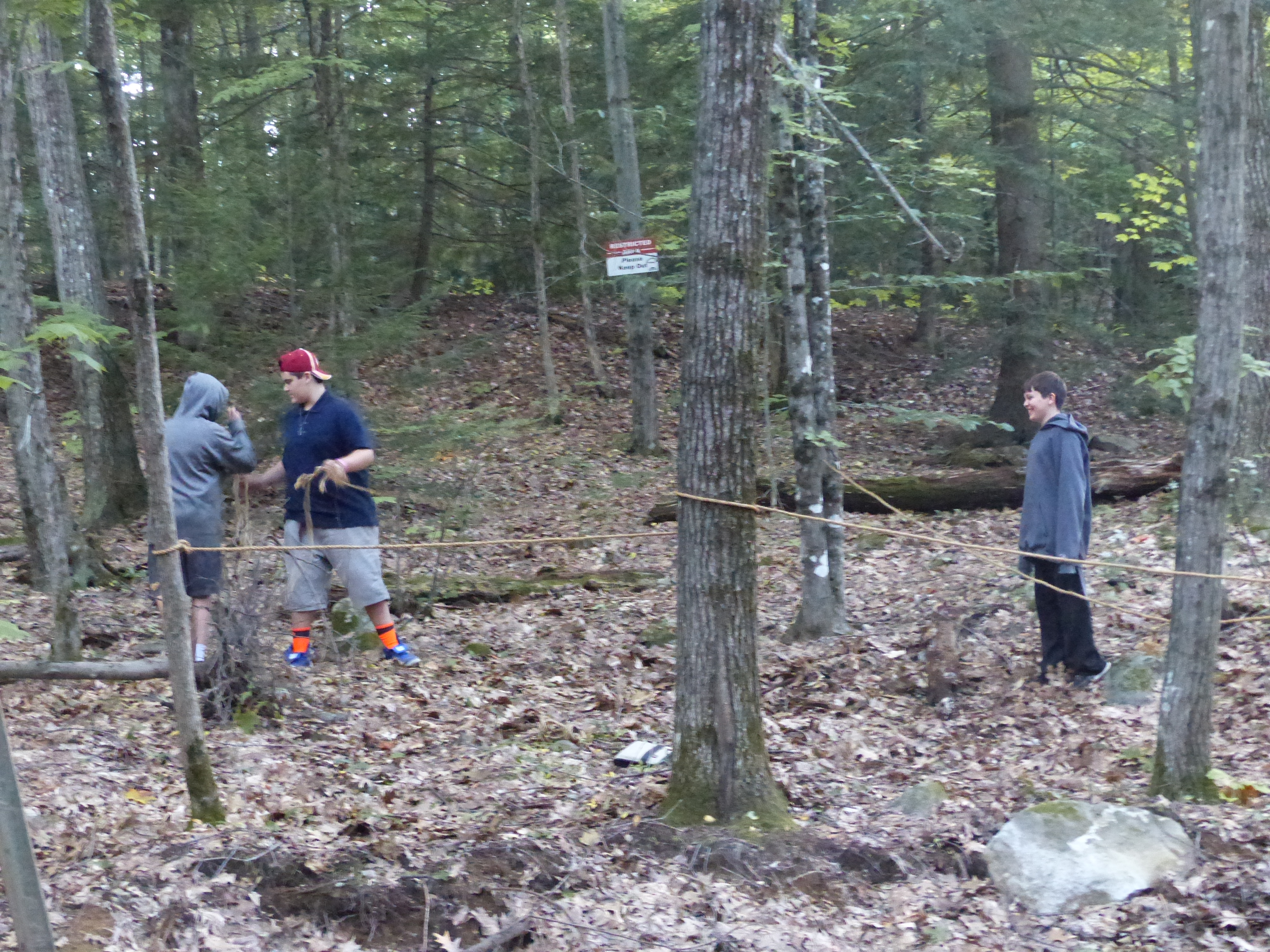 P1070868 (09-09-2017 23:09)