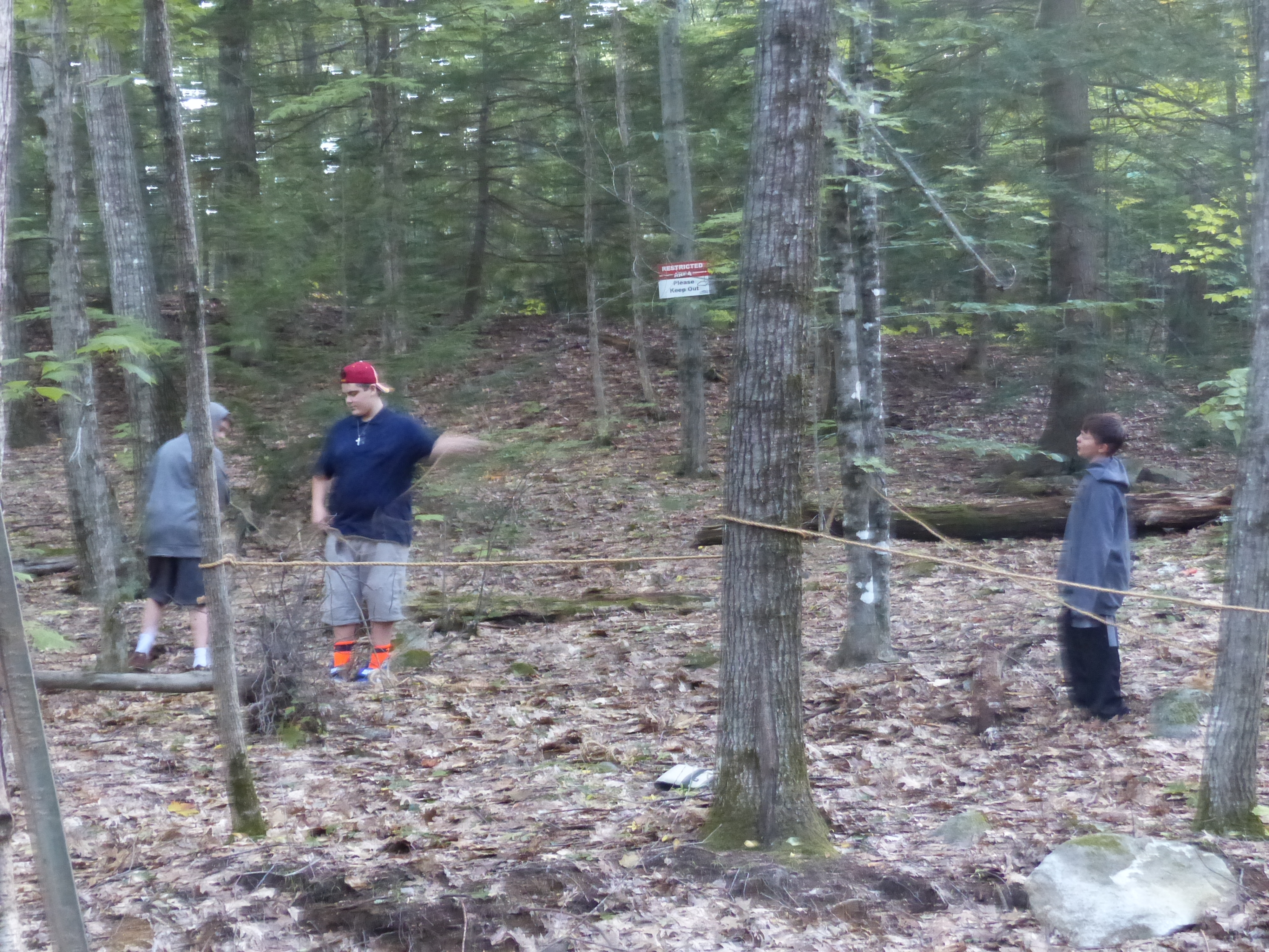 P1070869 (09-09-2017 23:09)