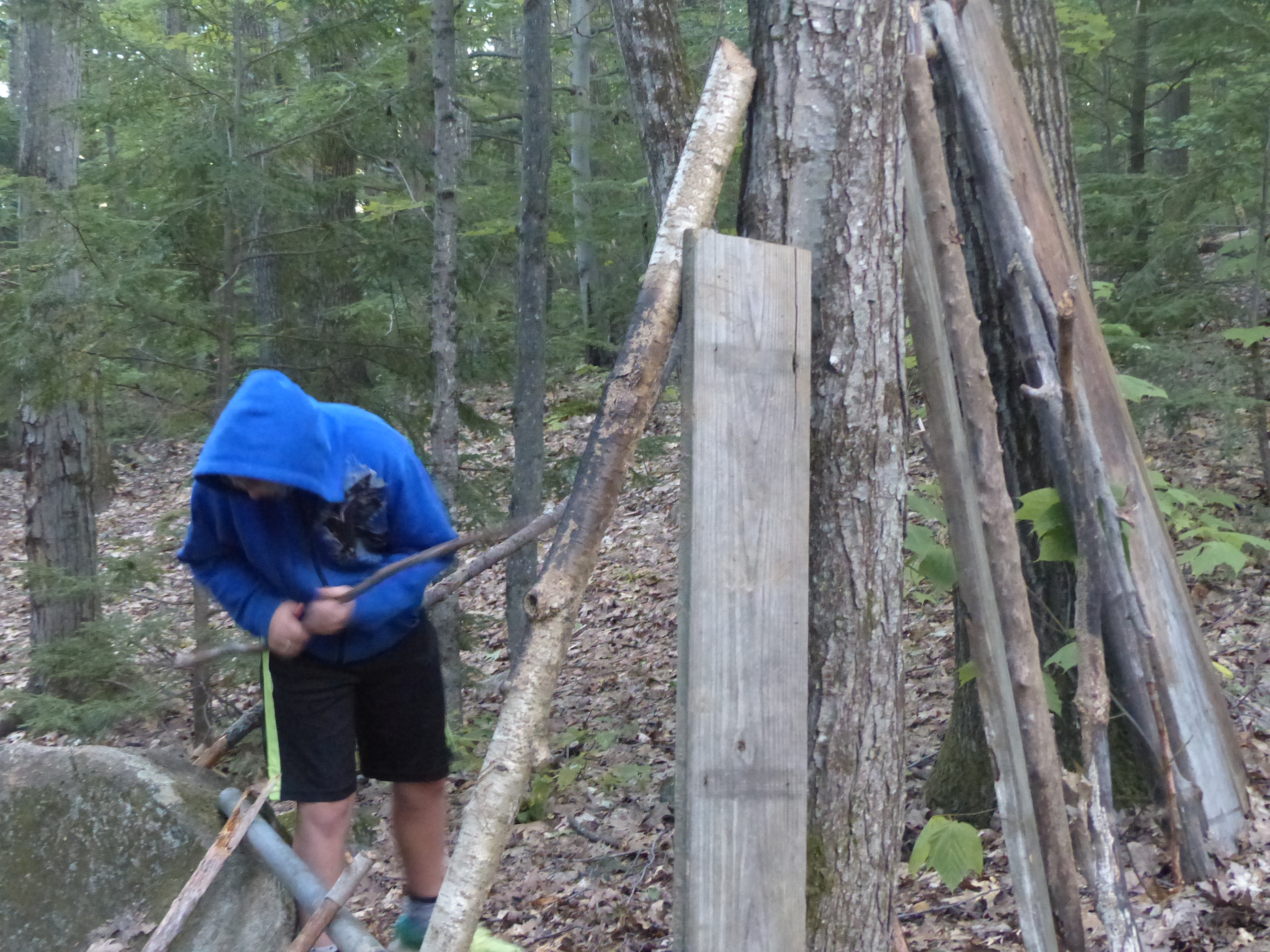 P1070870 (09-09-2017 23:09)