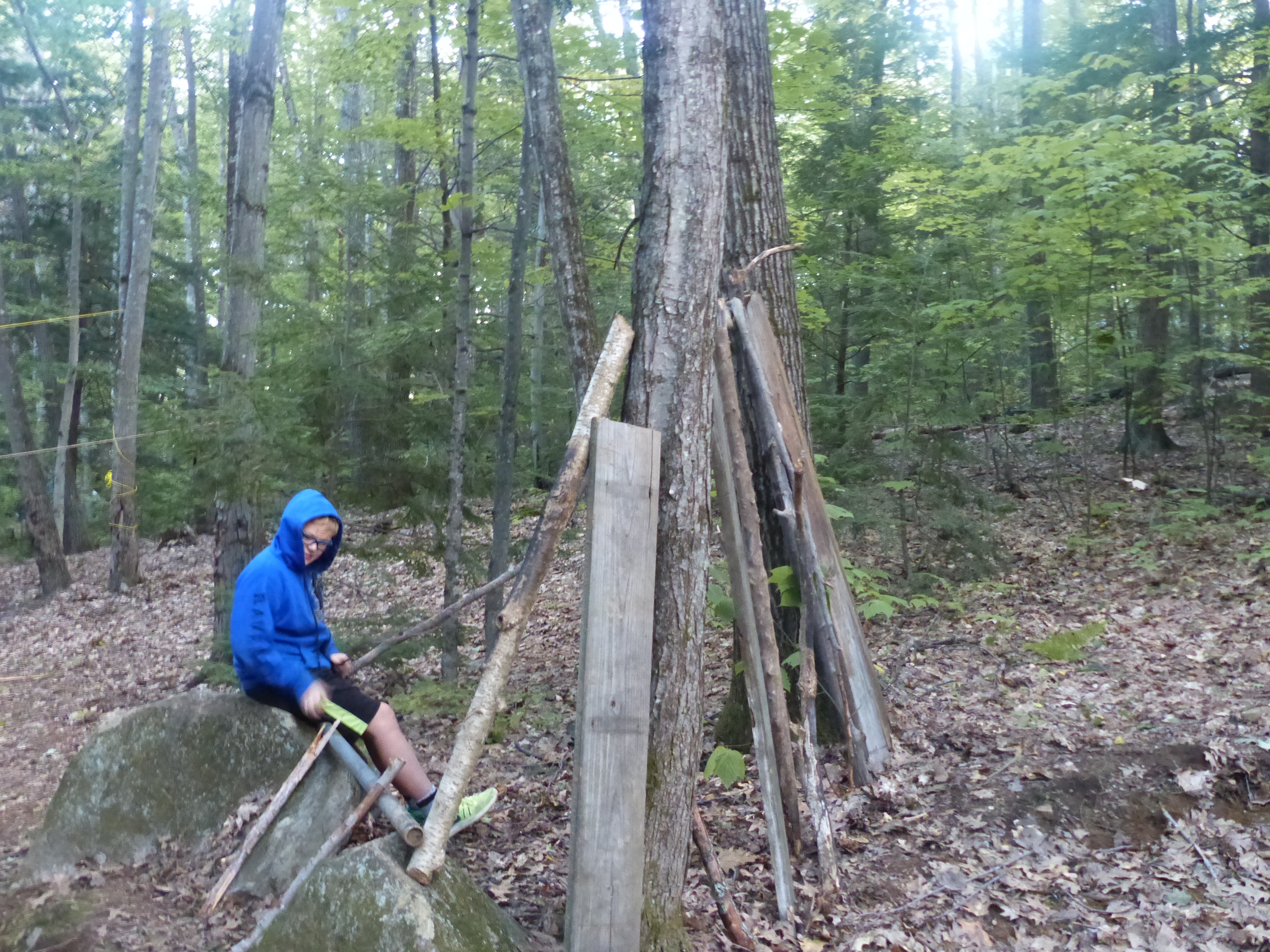 P1070871 (09-09-2017 23:10)