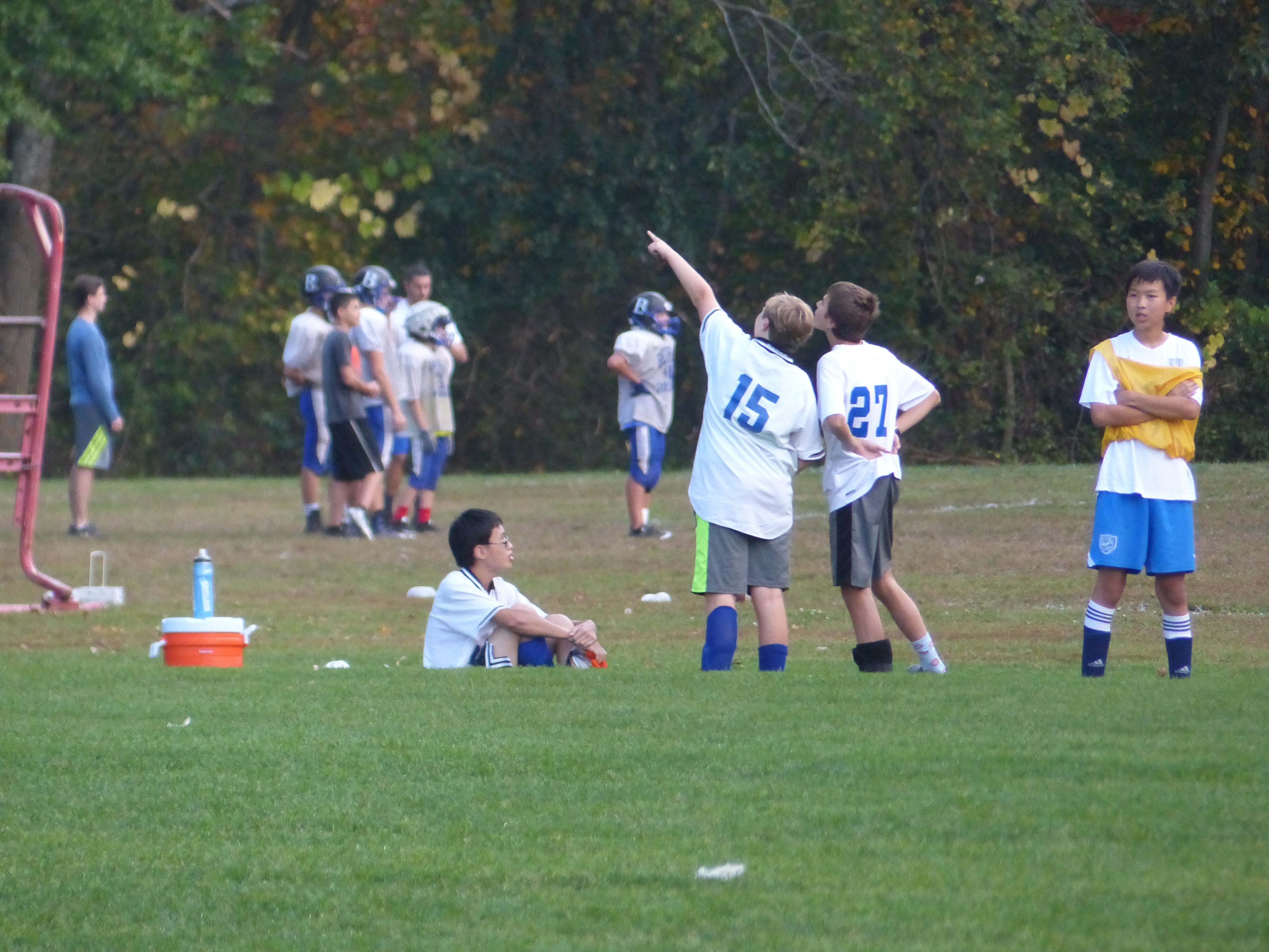 P1070872 (10-11-2017 21:57)