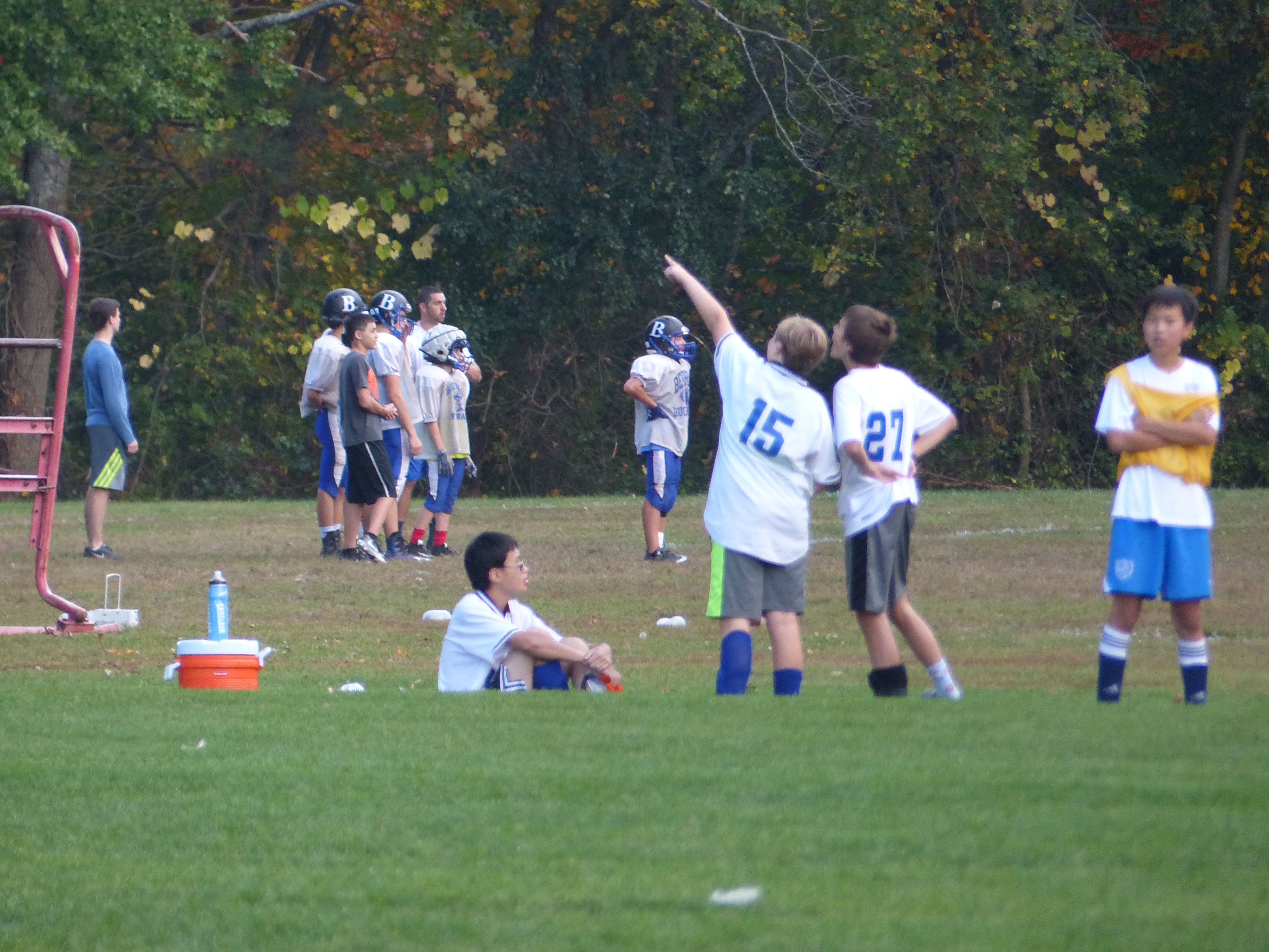 P1070873 (10-11-2017 21:57)