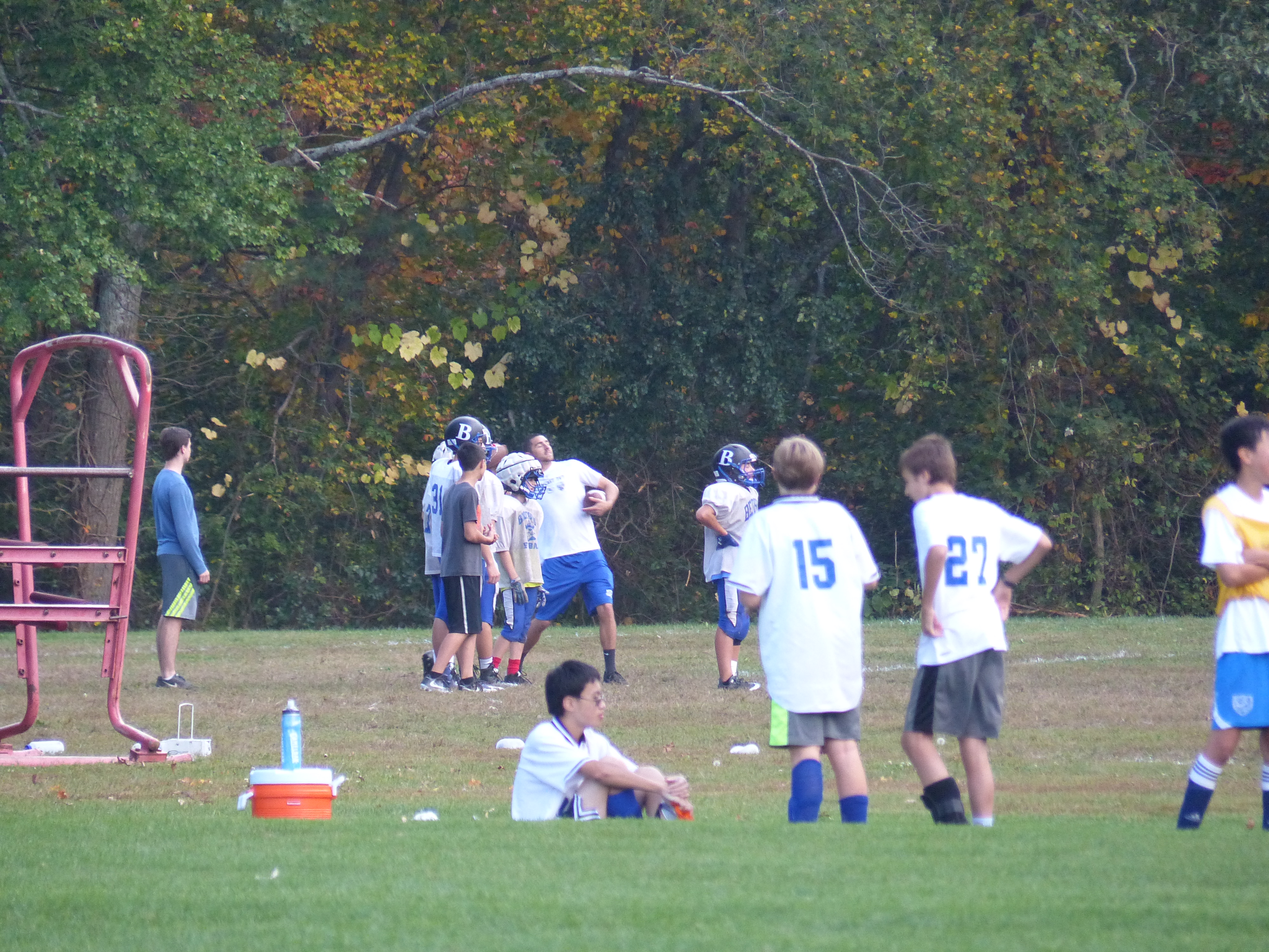 P1070874 (10-11-2017 21:57)