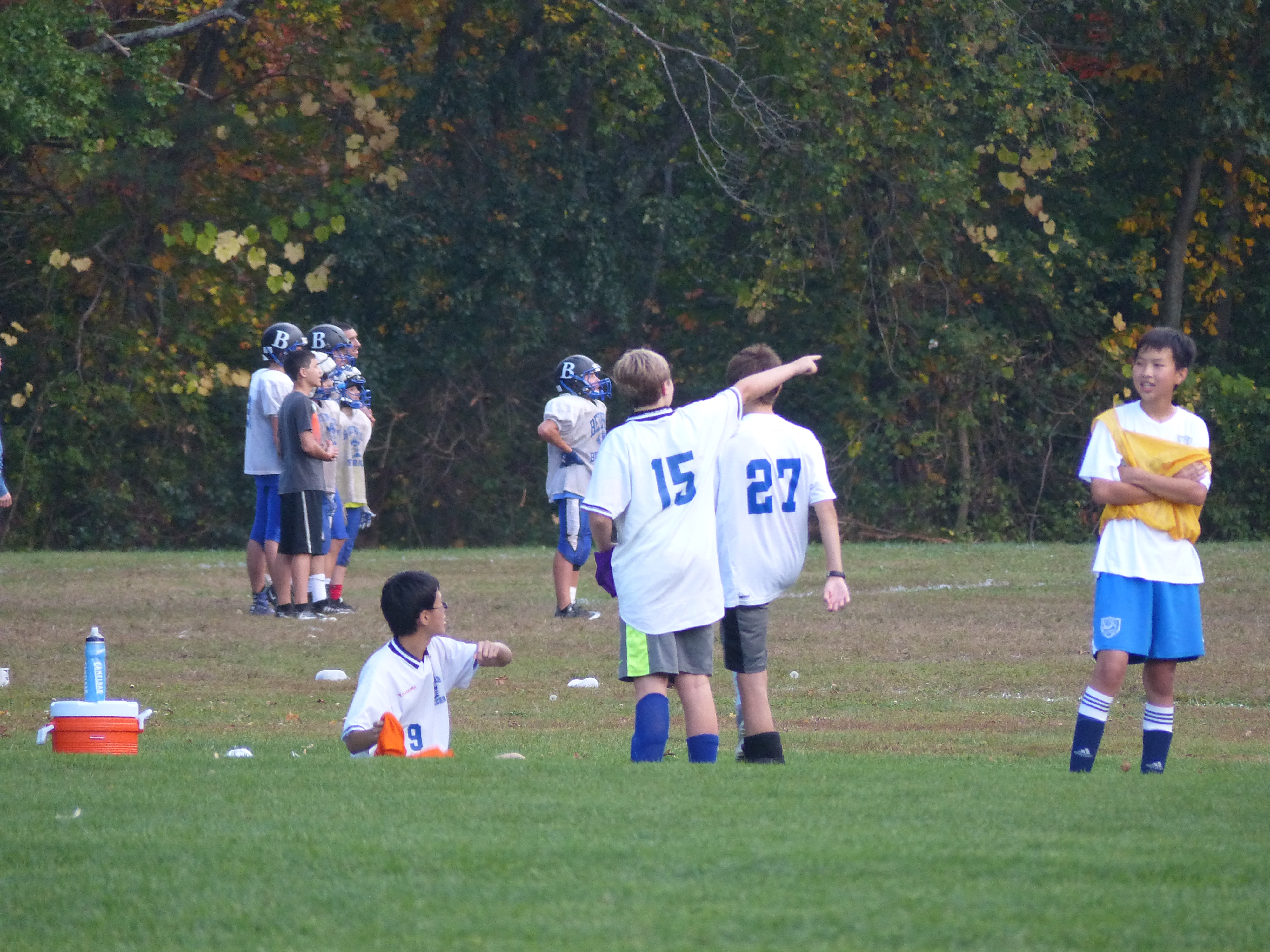 P1070875 (10-11-2017 21:58)