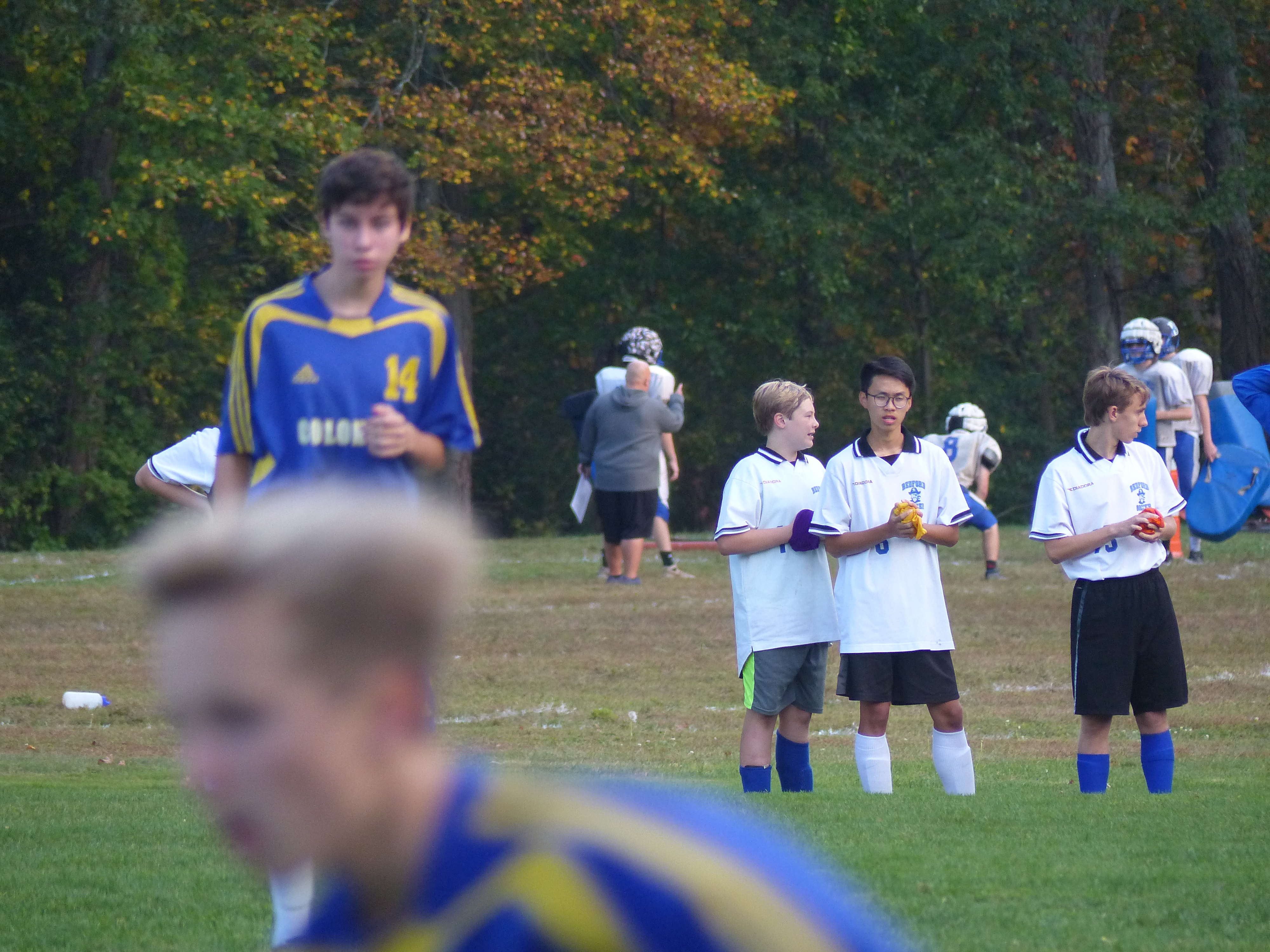 P1070876 (10-11-2017 21:59)