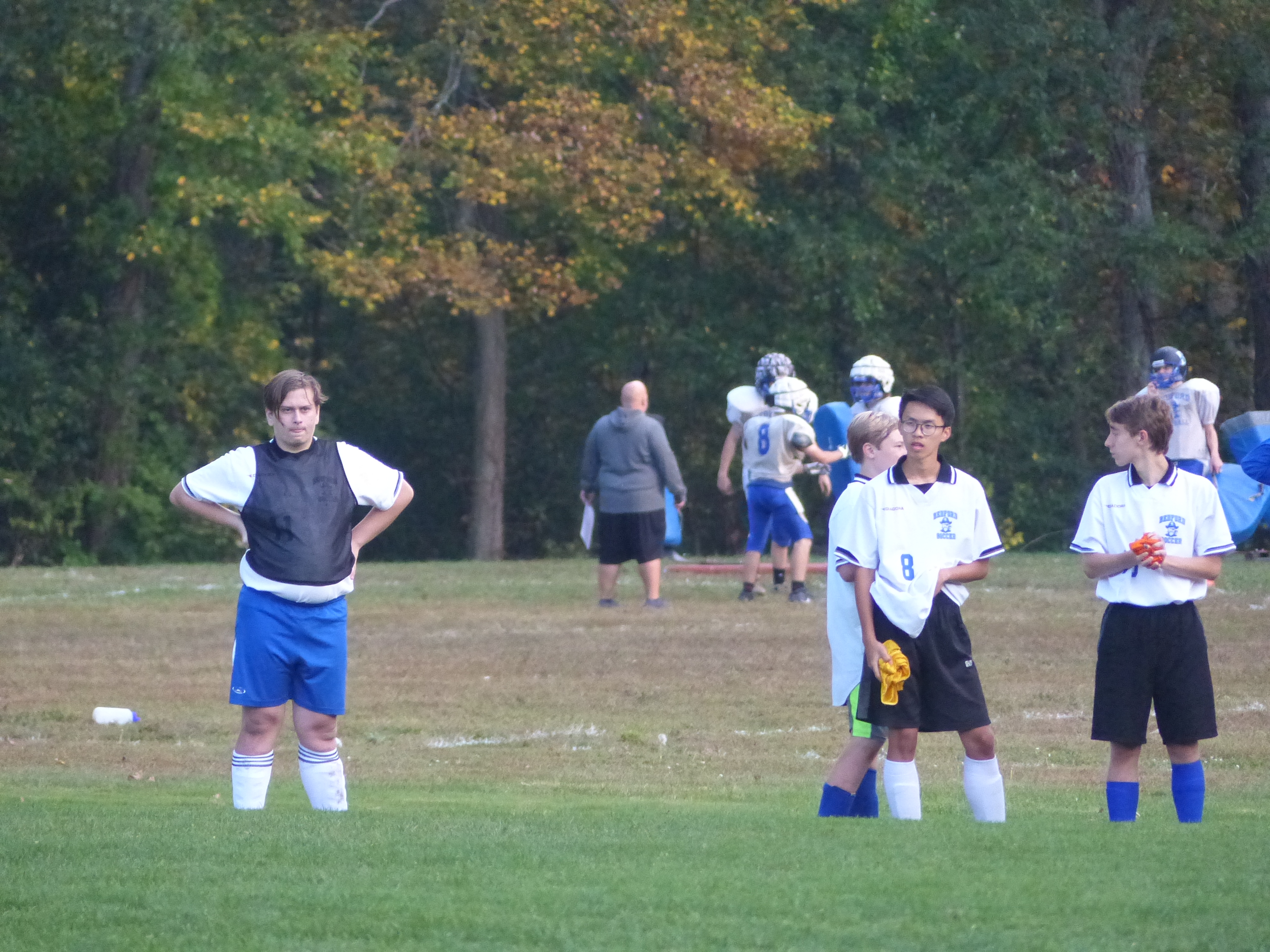 P1070877 (10-11-2017 21:59)