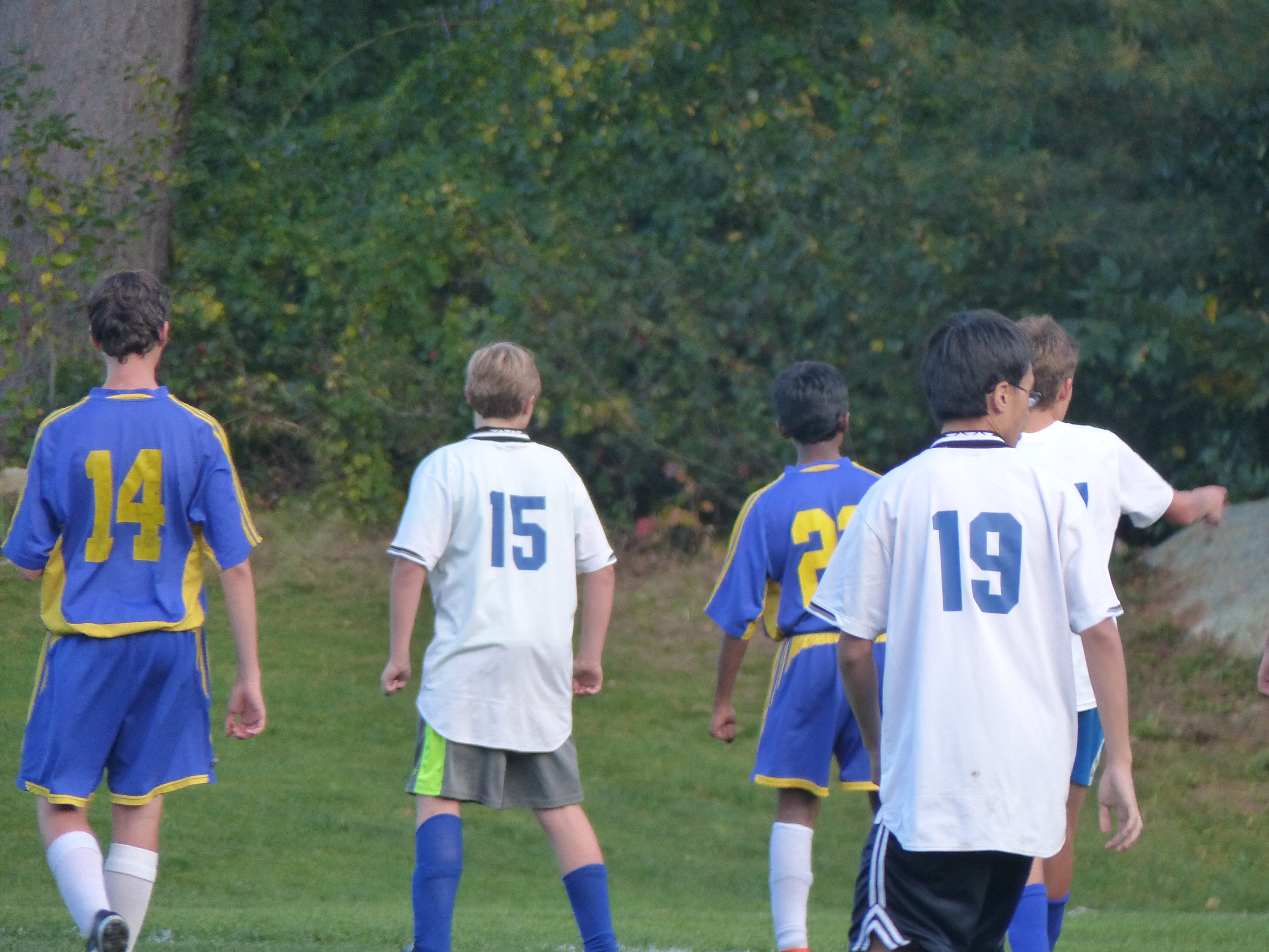 P1070880 (10-11-2017 22:02)