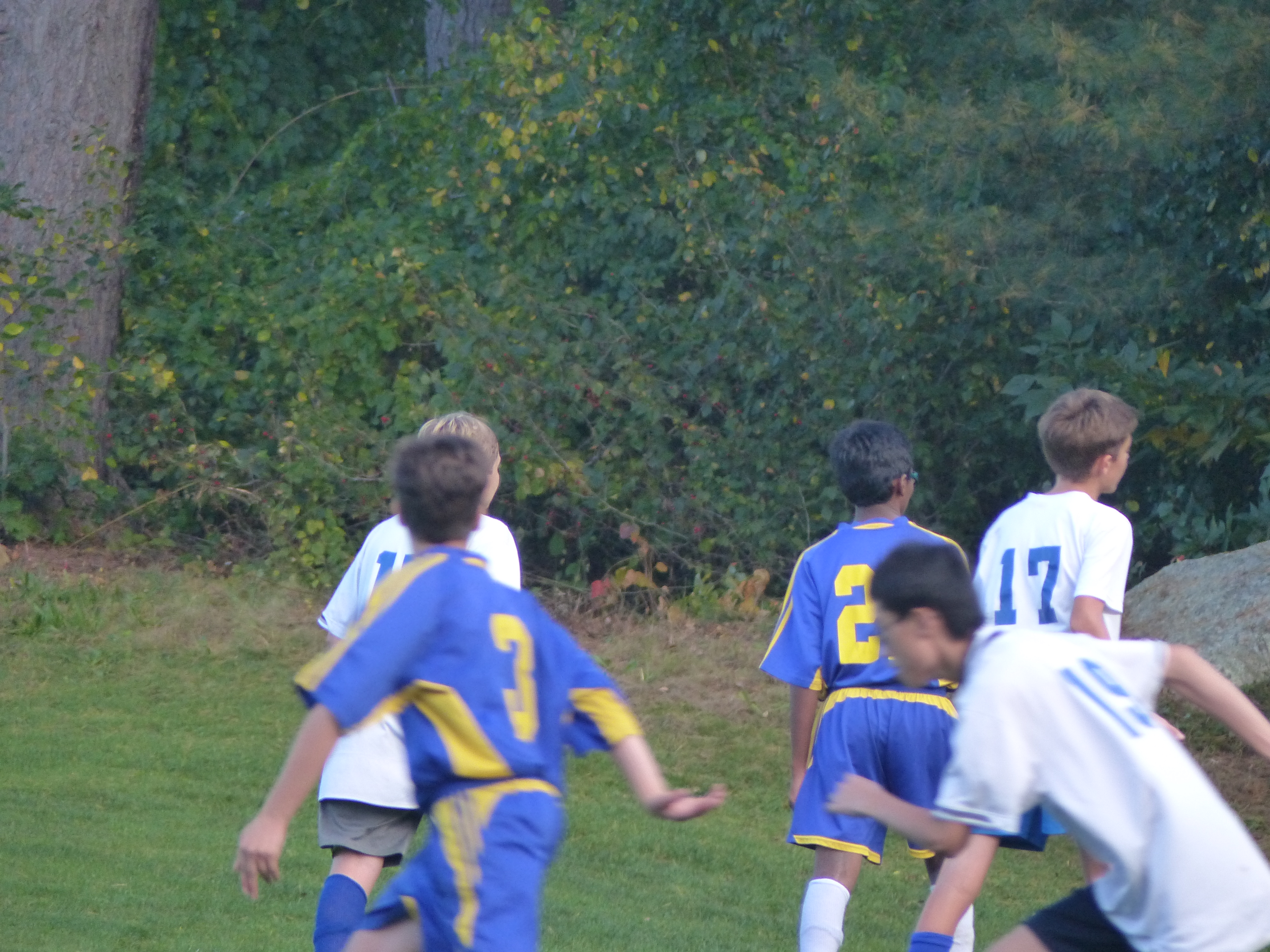 P1070881 (10-11-2017 22:03)