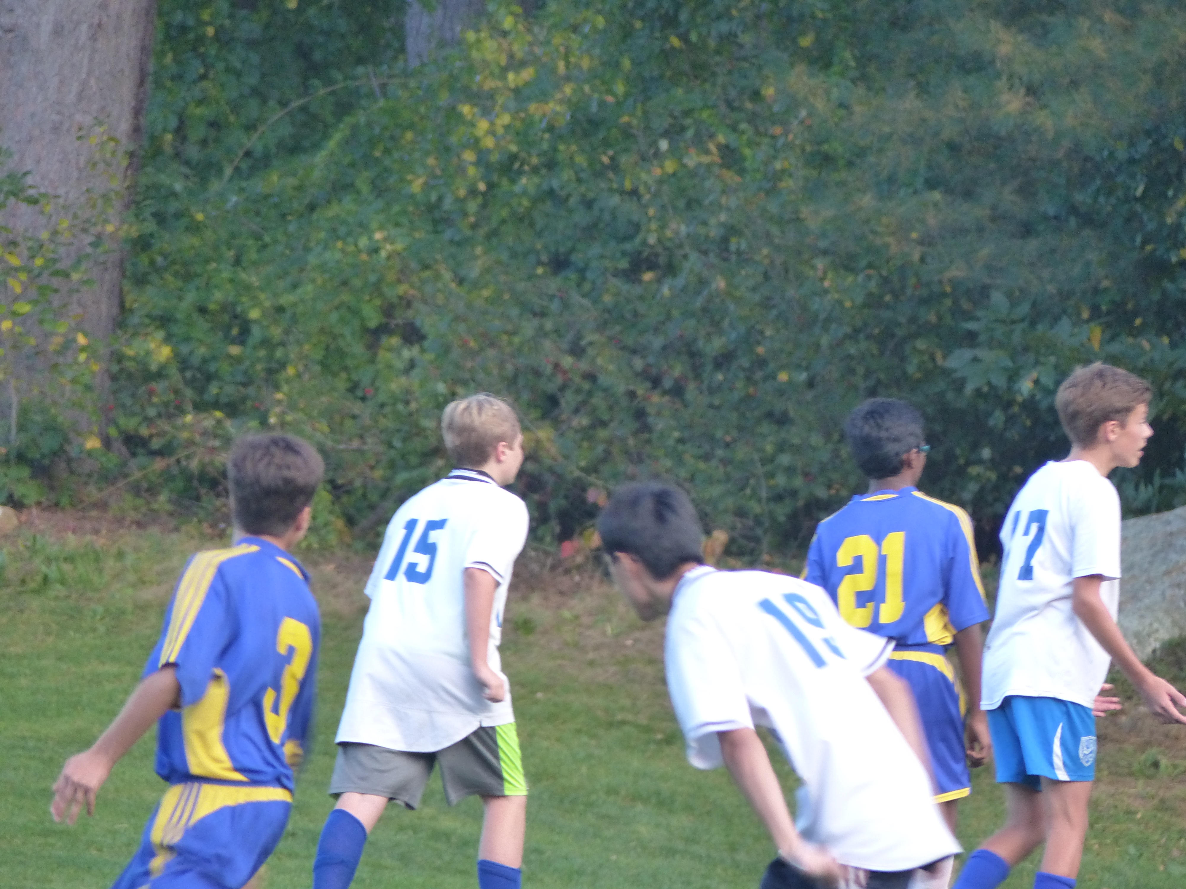 P1070882 (10-11-2017 22:03)