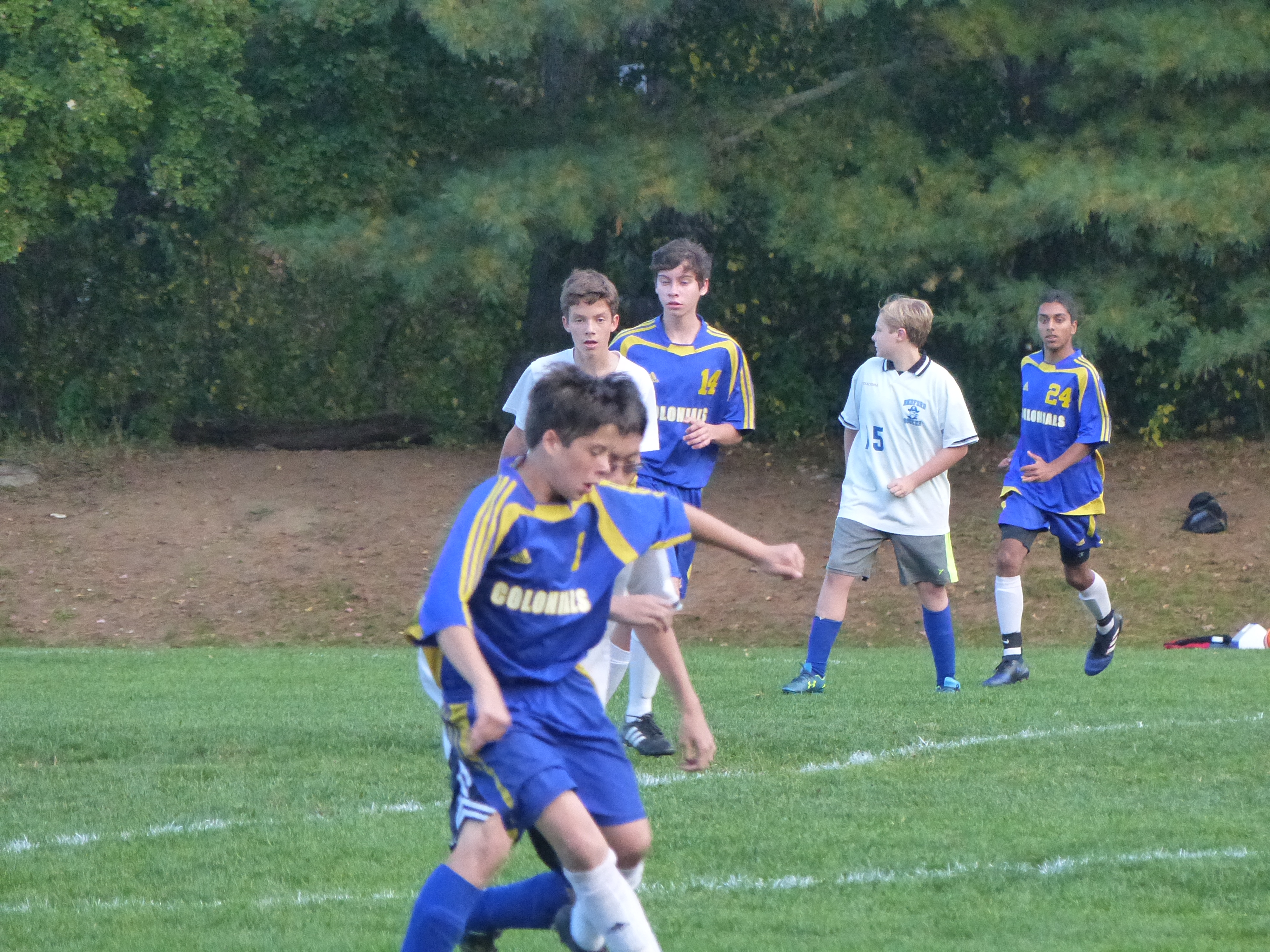 P1070883 (10-11-2017 22:03)