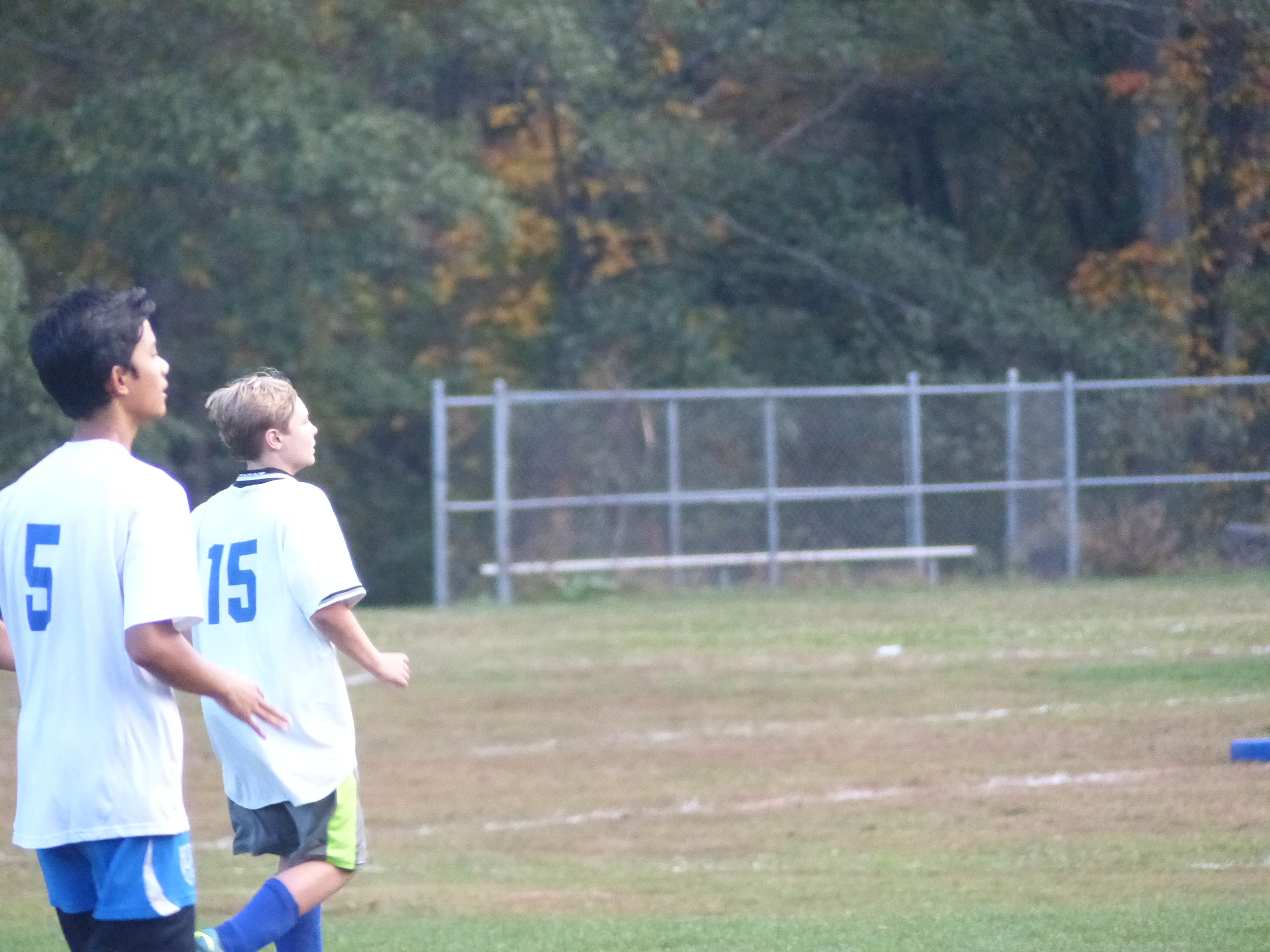 P1070887 (10-11-2017 22:06)