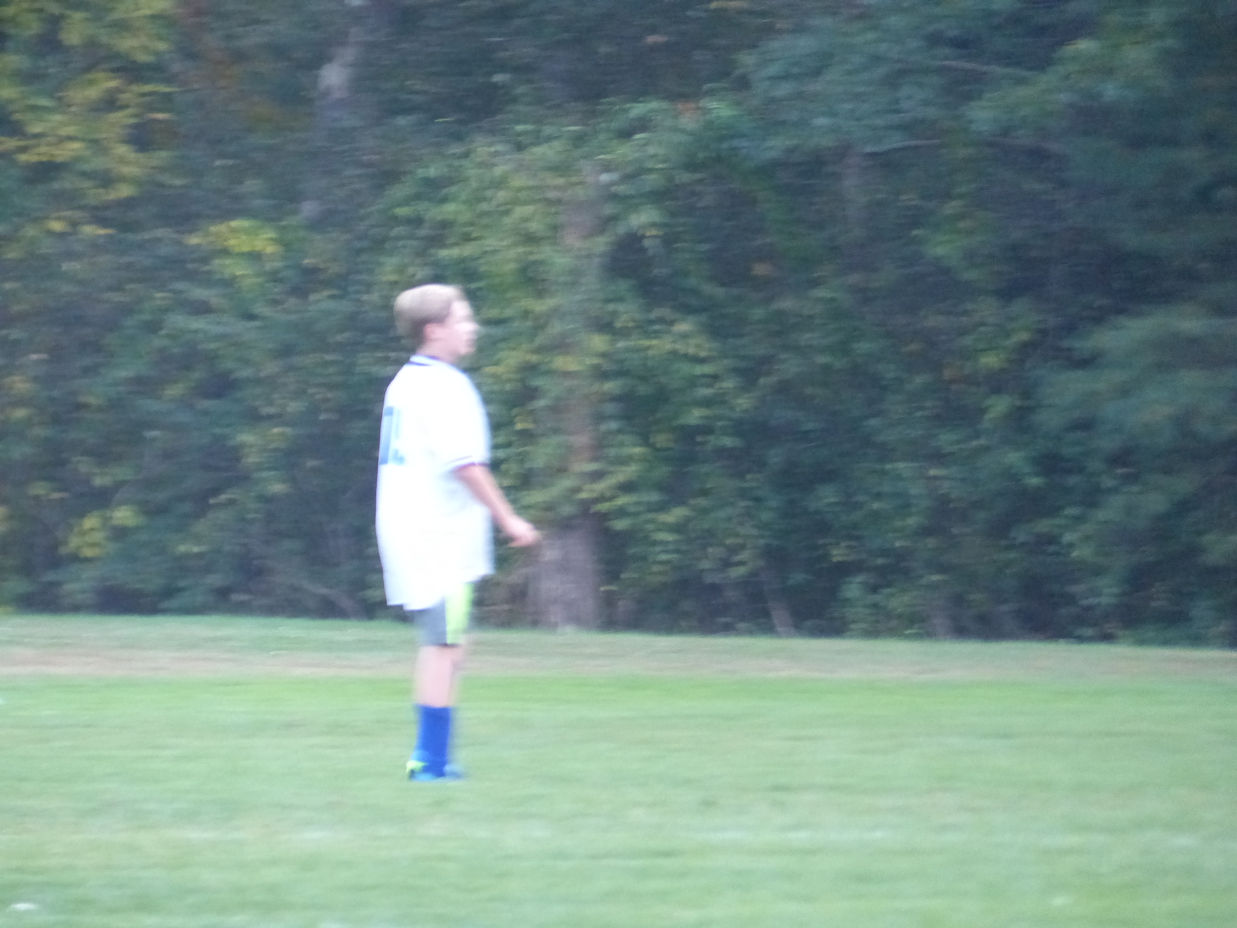 P1070894 (10-11-2017 22:27)