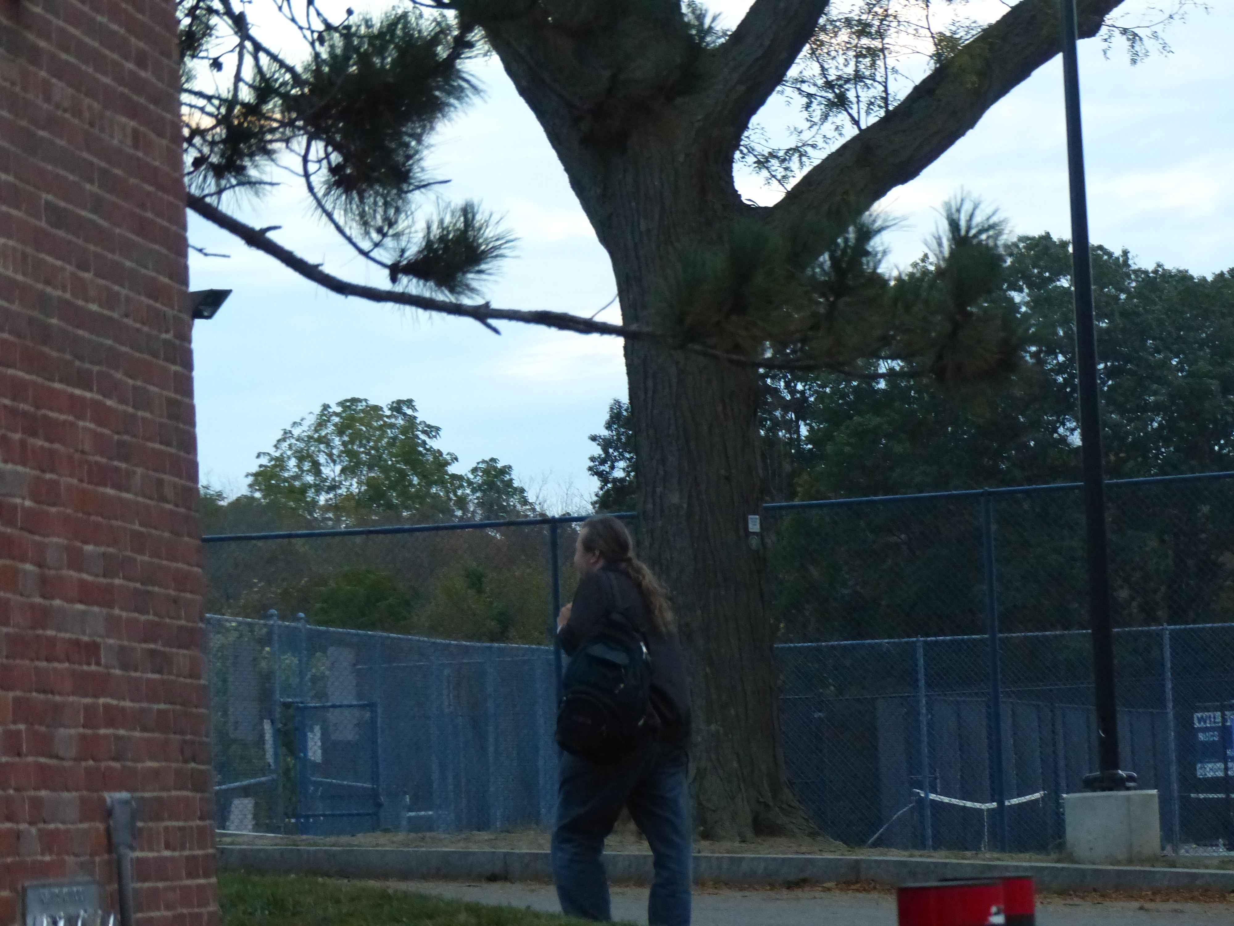 P1070895 (10-11-2017 22:48)