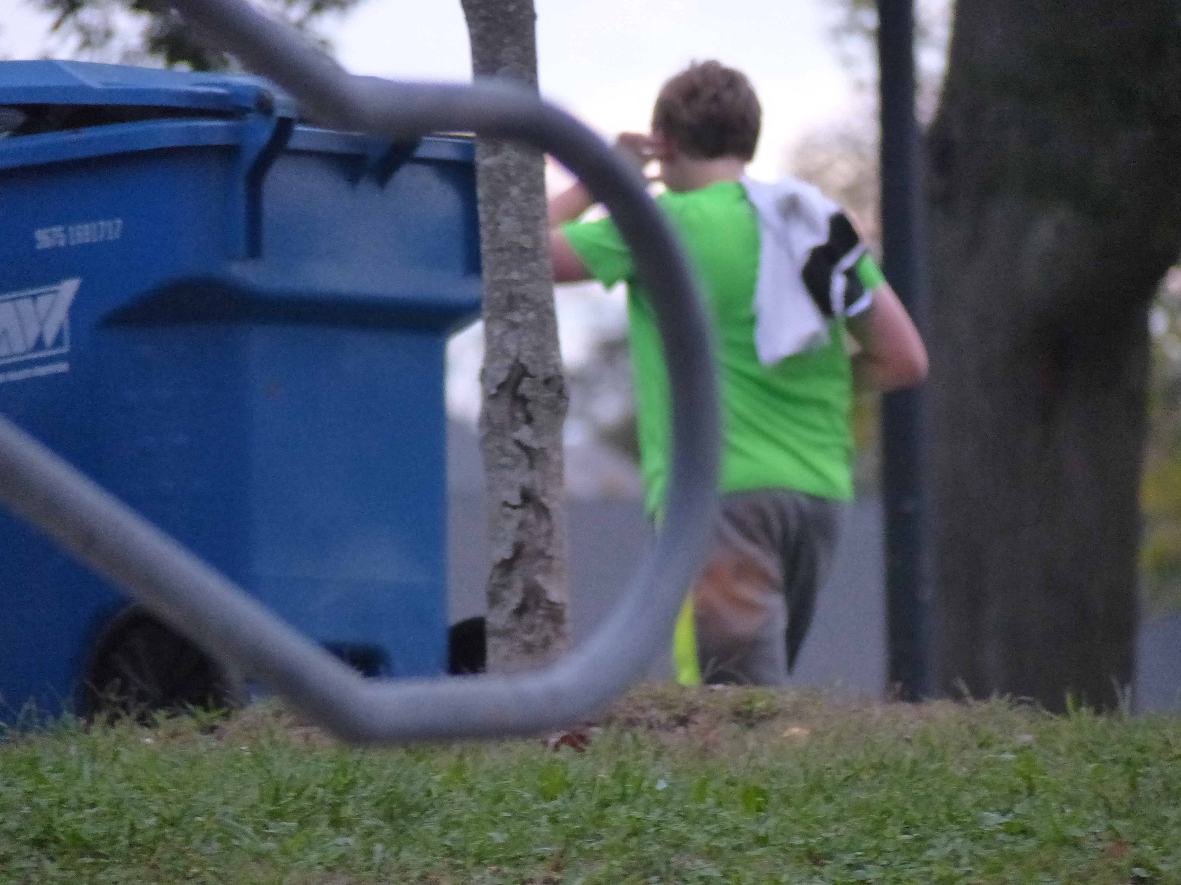 P1070897 (10-11-2017 22:48)