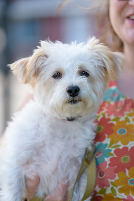 BENNETT_0159 (08-30-2020 15:31)