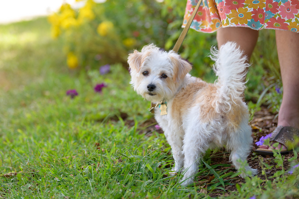 BENNETT_0160 (08-30-2020 15:32)