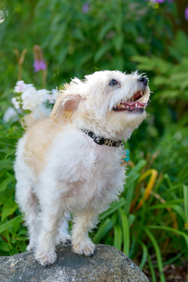 BENNETT_0161 (08-30-2020 15:32)