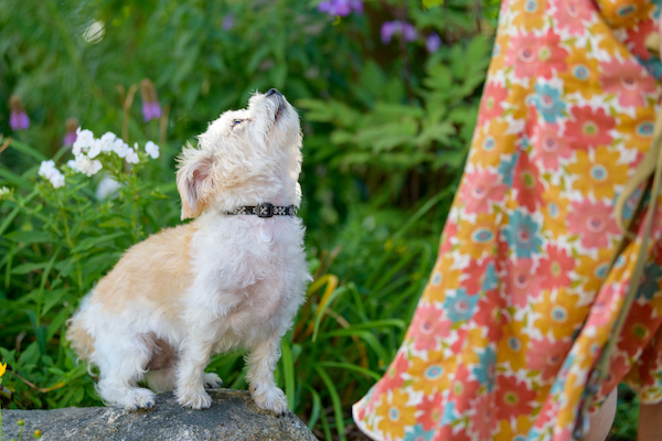 BENNETT_0162 (08-30-2020 15:32)