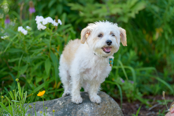 BENNETT_0164 (08-30-2020 15:33)