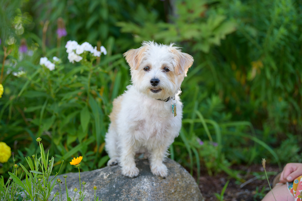 BENNETT_0166 (08-30-2020 15:33)