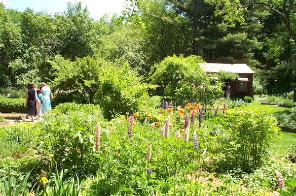 Pickety Place flower garden