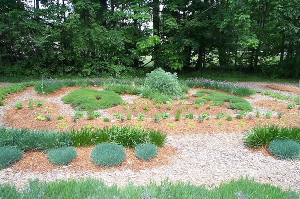 Pickety Place herb garden 1