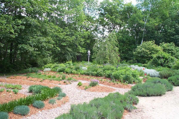 Pickety Place herb garden 2