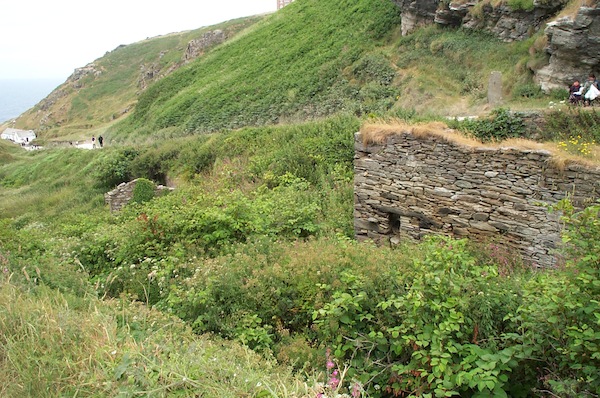 Tintagel hillside 2