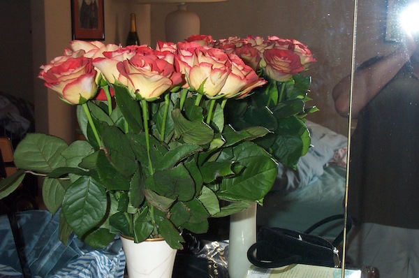 French roses 2