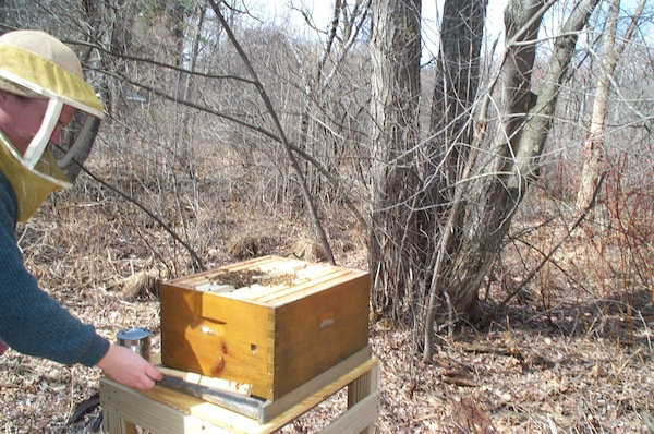 Installing the entrance reducer