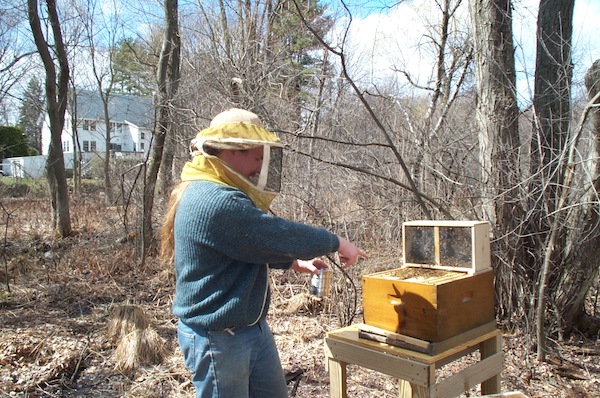 Down, I command you!