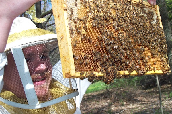 Drone and swarm cells