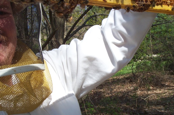 Closeup of bottom cells