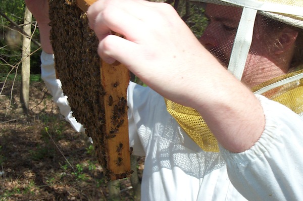 Where are the babies