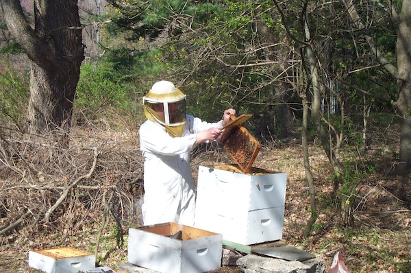 Cleaning off the bees