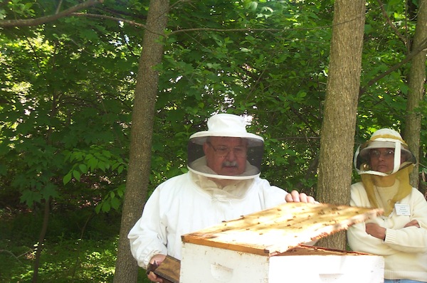 01 - Bee Meeting.jpg