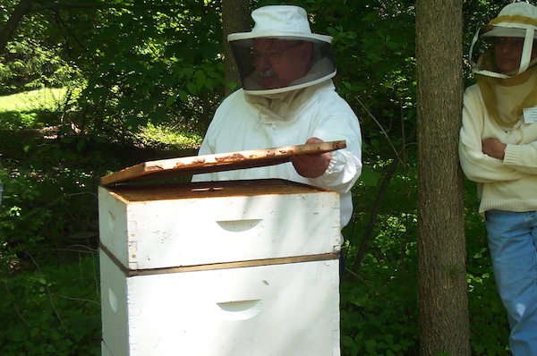 02 - Bee Meeting.jpg