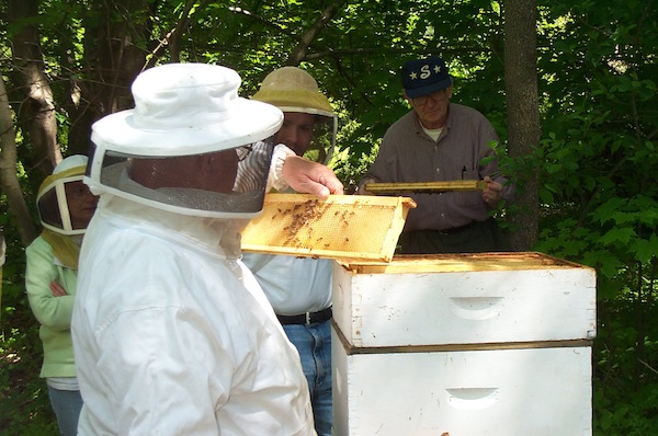 03 - Bee Meeting.jpg