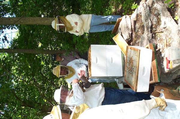 04 - Bee Meeting.jpg